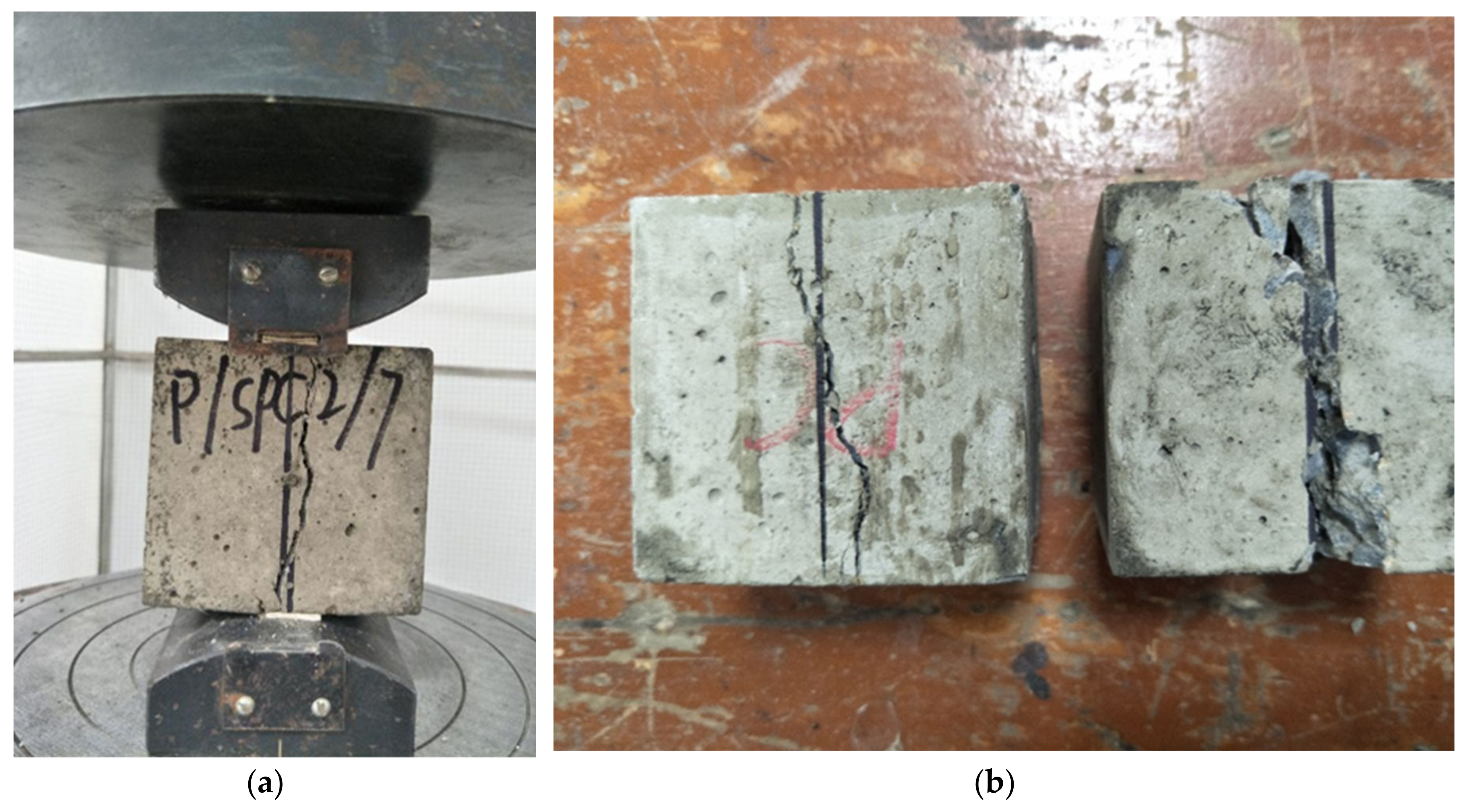 Coatings 10 00955 g005