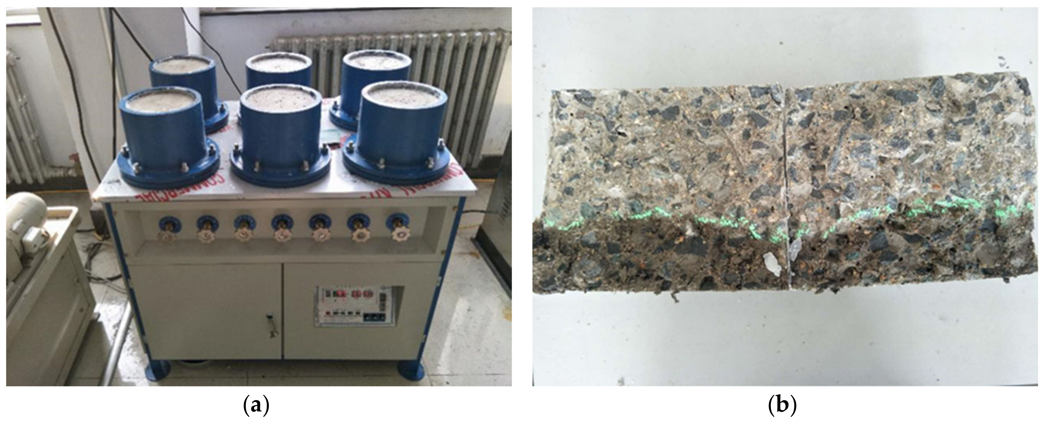 Coatings 10 00955 g007