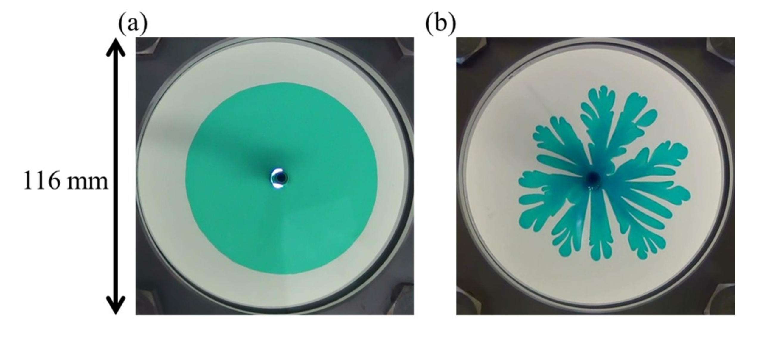 Coatings 10 00960 g001