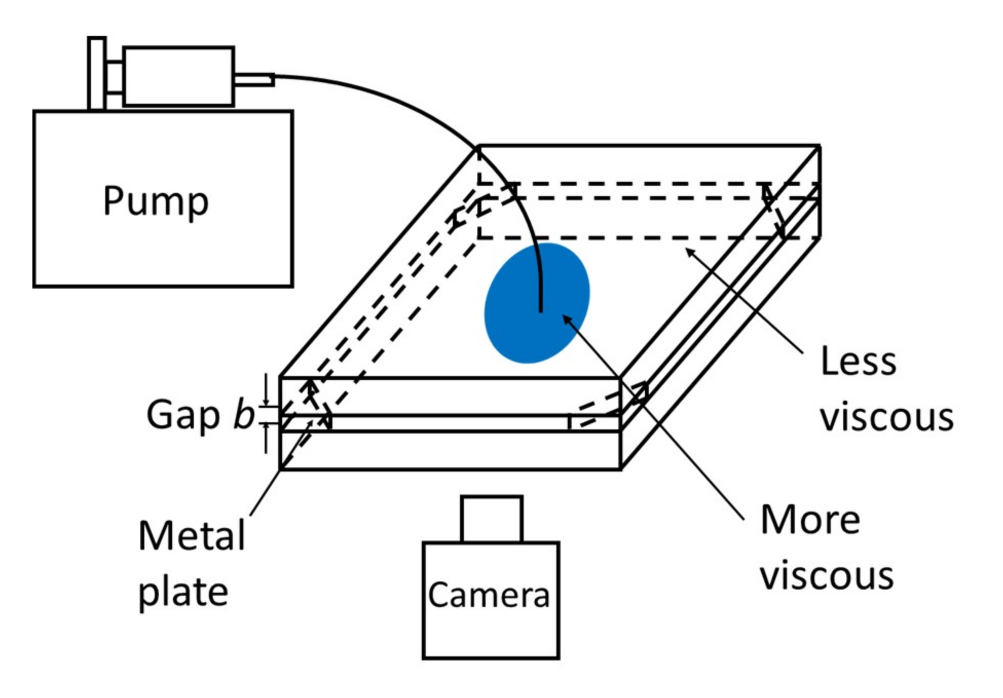 Coatings 10 00960 g004