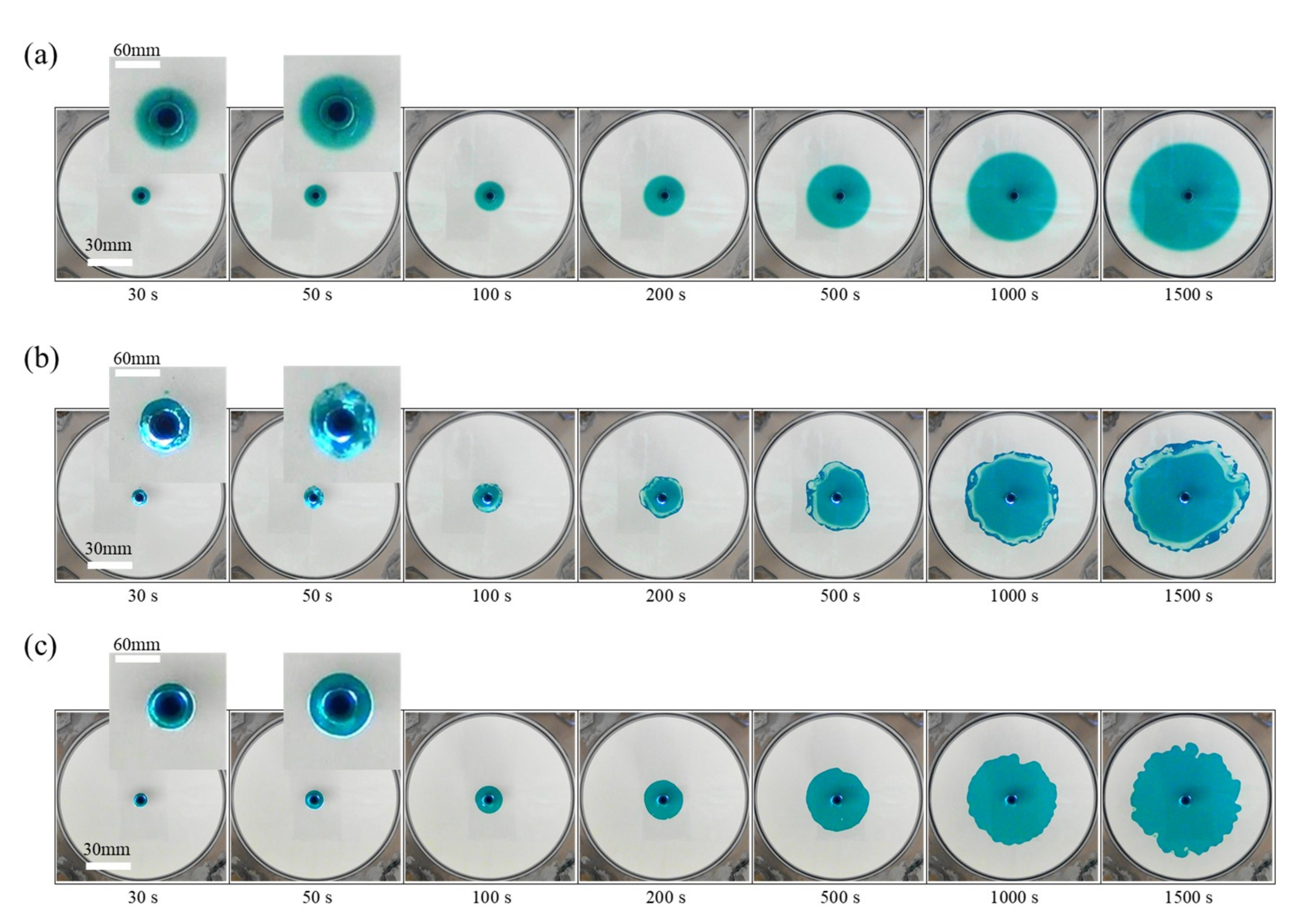 Coatings 10 00960 g006