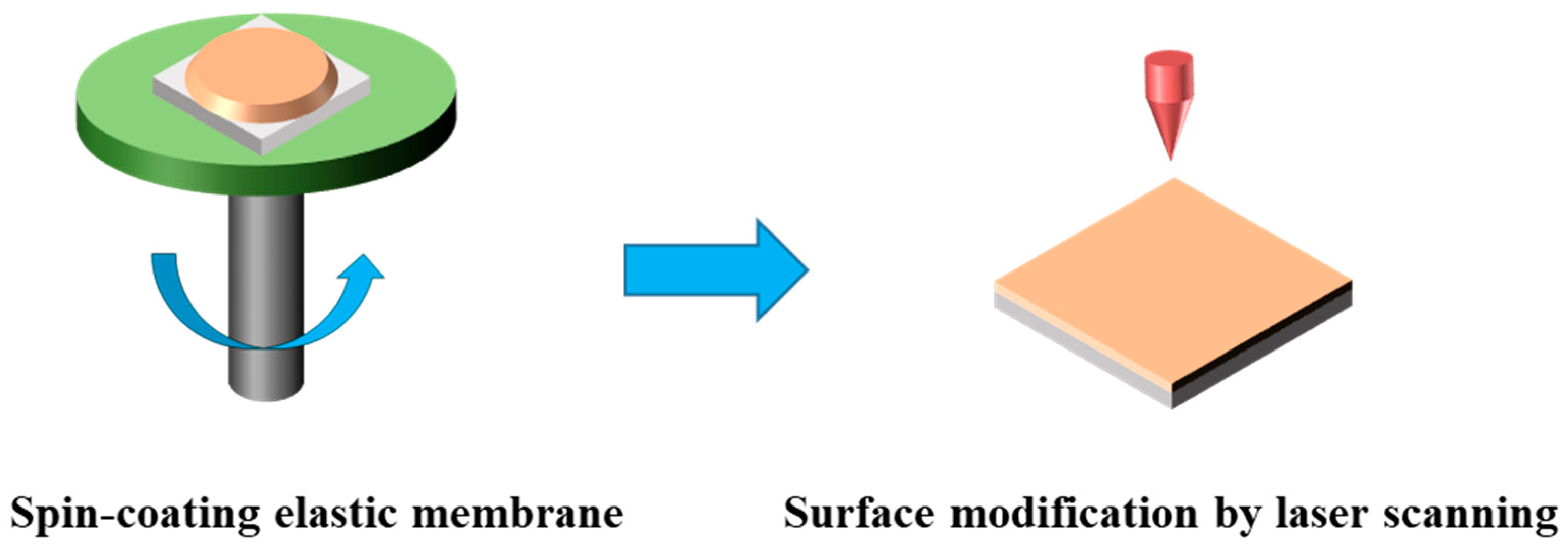 Coatings 10 00964 g001 Coatings 10 00964 g001