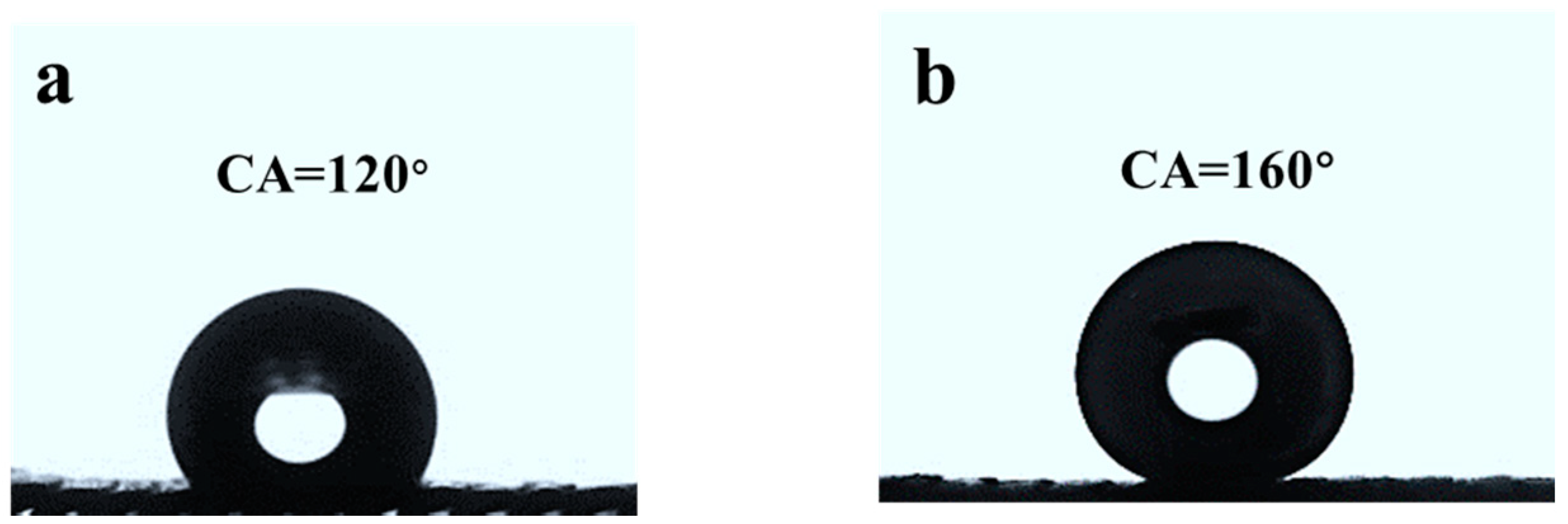 Coatings 10 00964 g004 Coatings 10 00964 g004