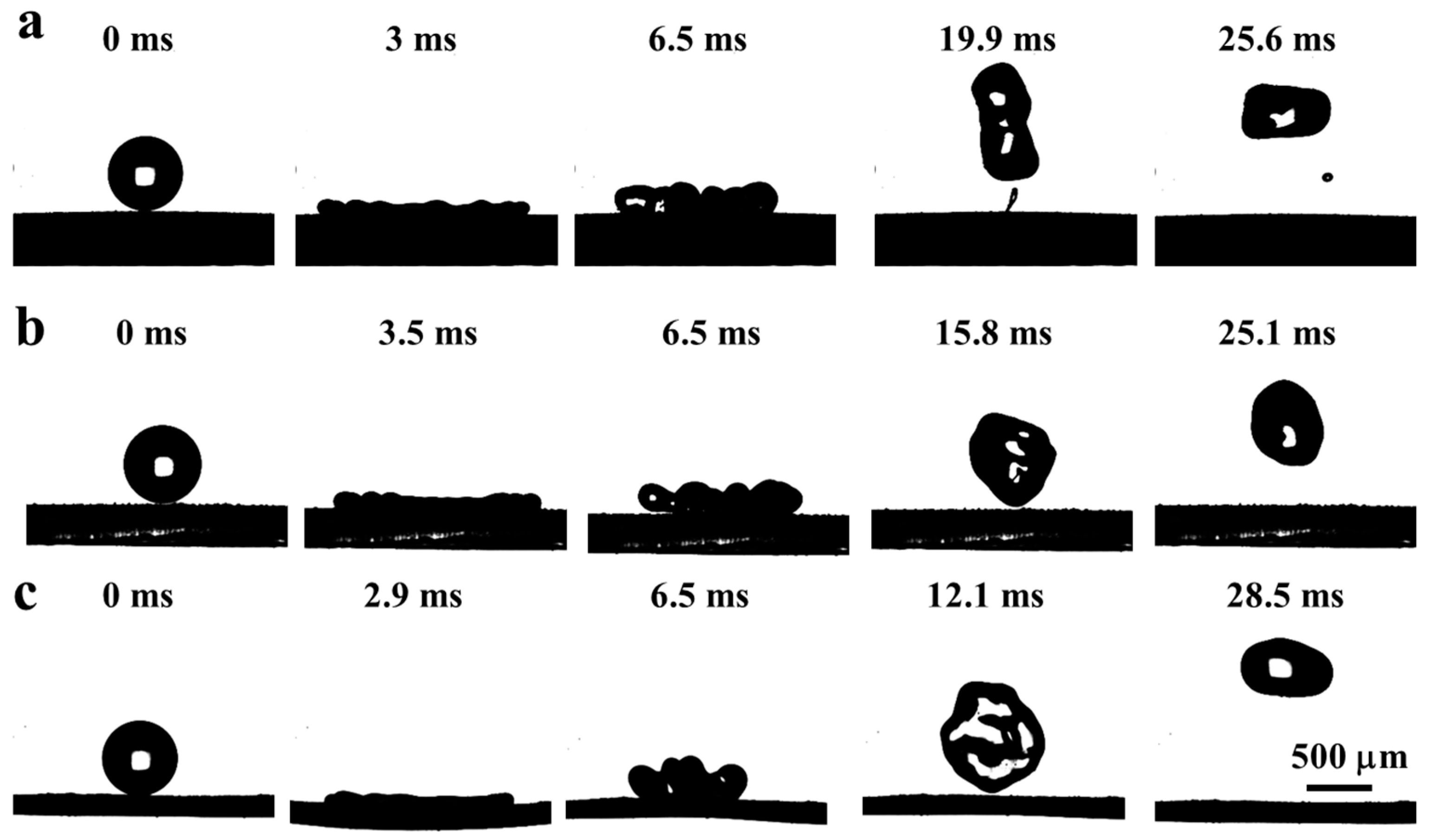 Coatings 10 00964 g005 Coatings 10 00964 g005