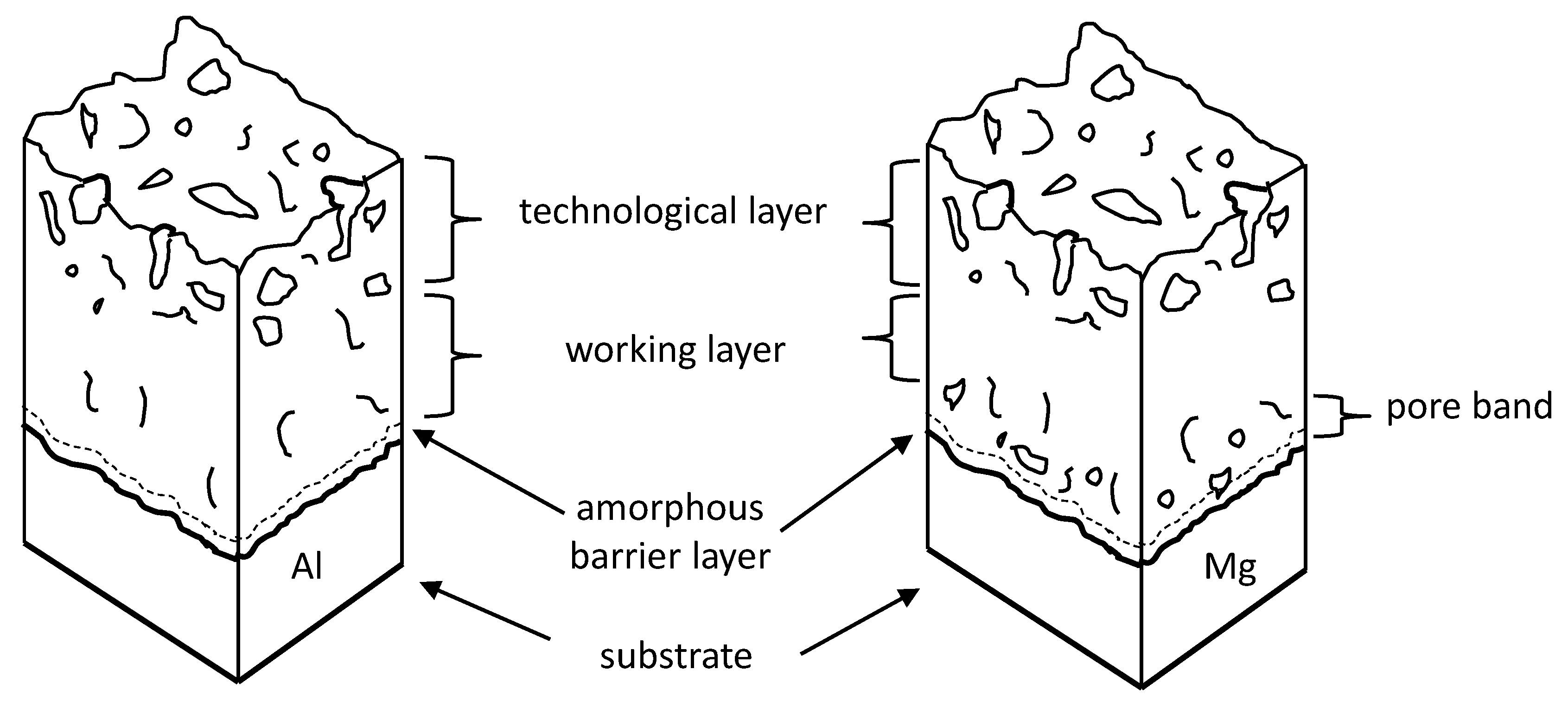 Coatings 10 00965 g002