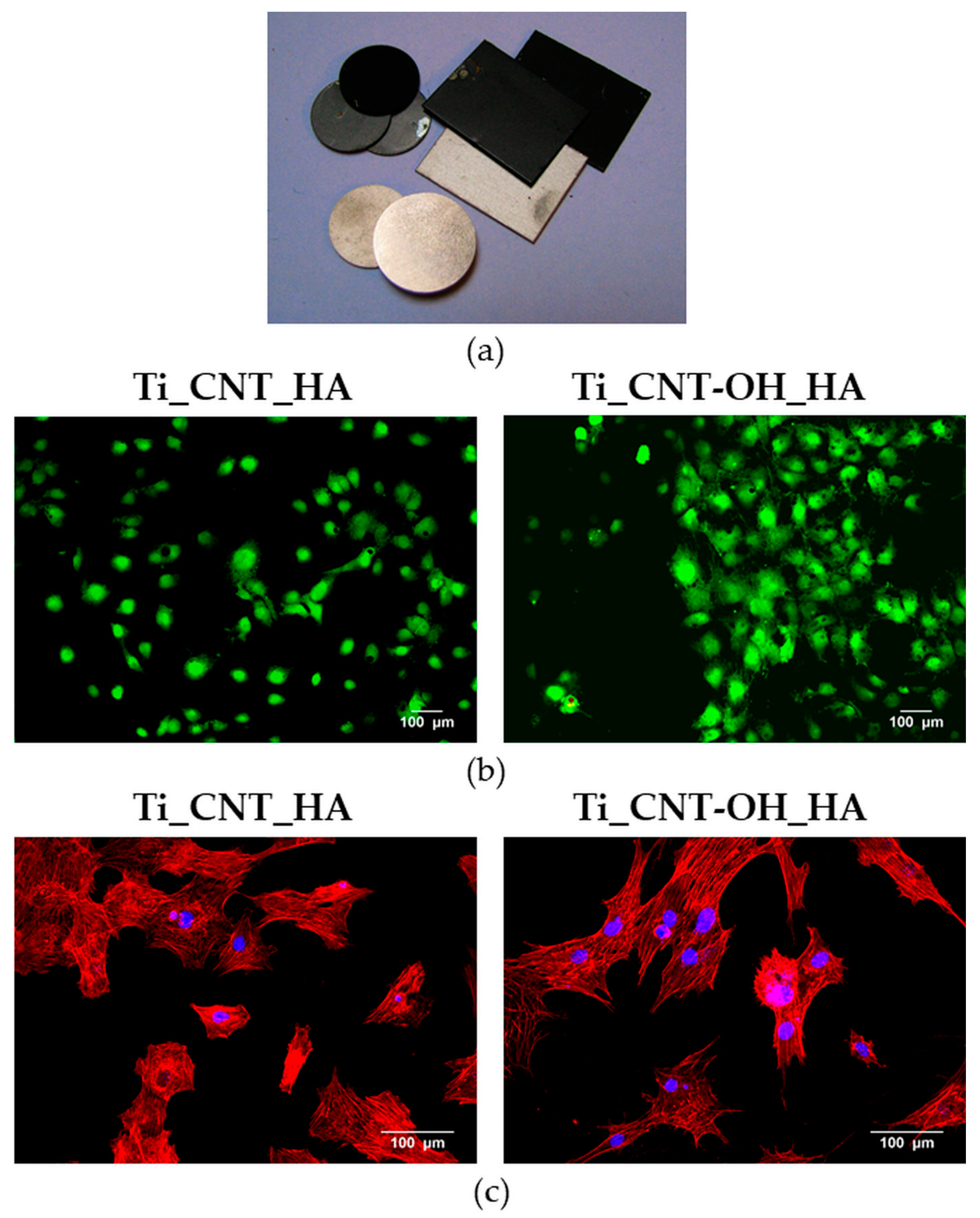 Coatings 10 00971 g003 Coatings 10 00971 g003