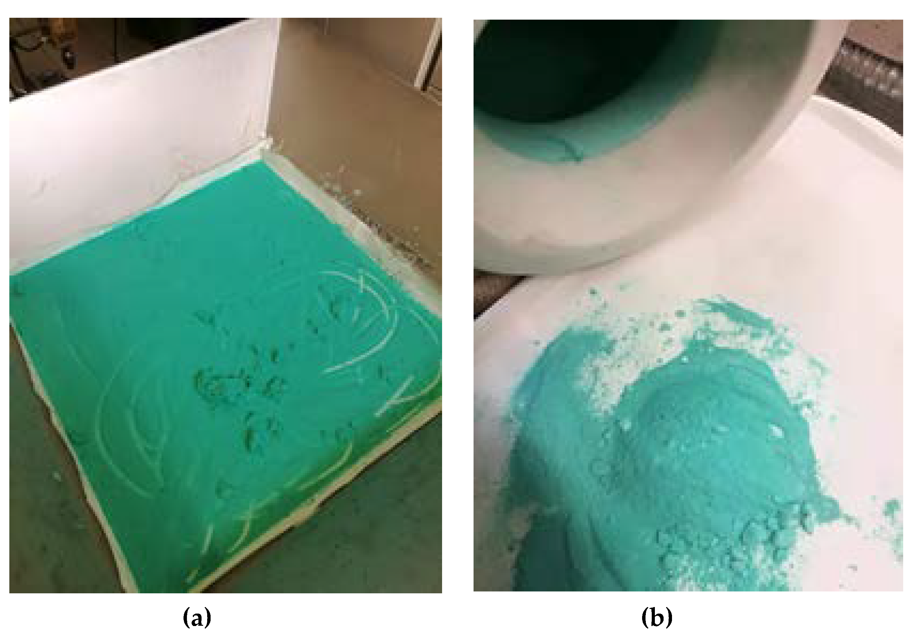 Coatings 10 00972 g004