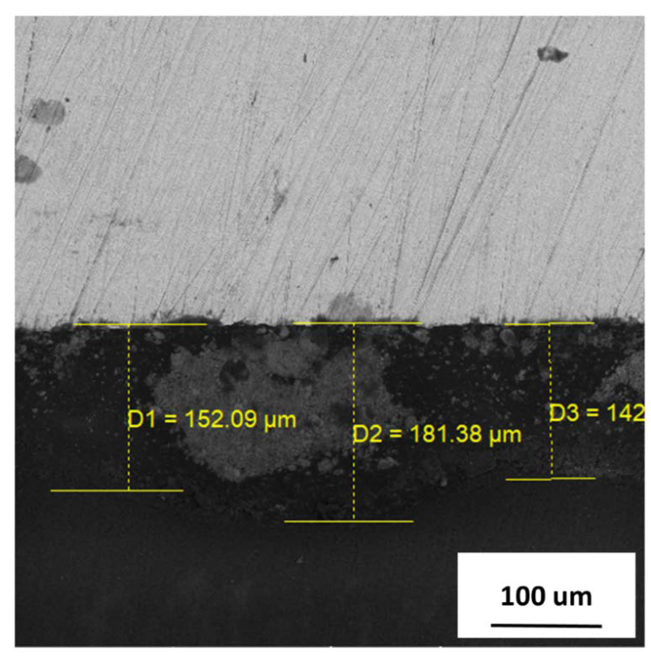 Coatings 10 00972 g006