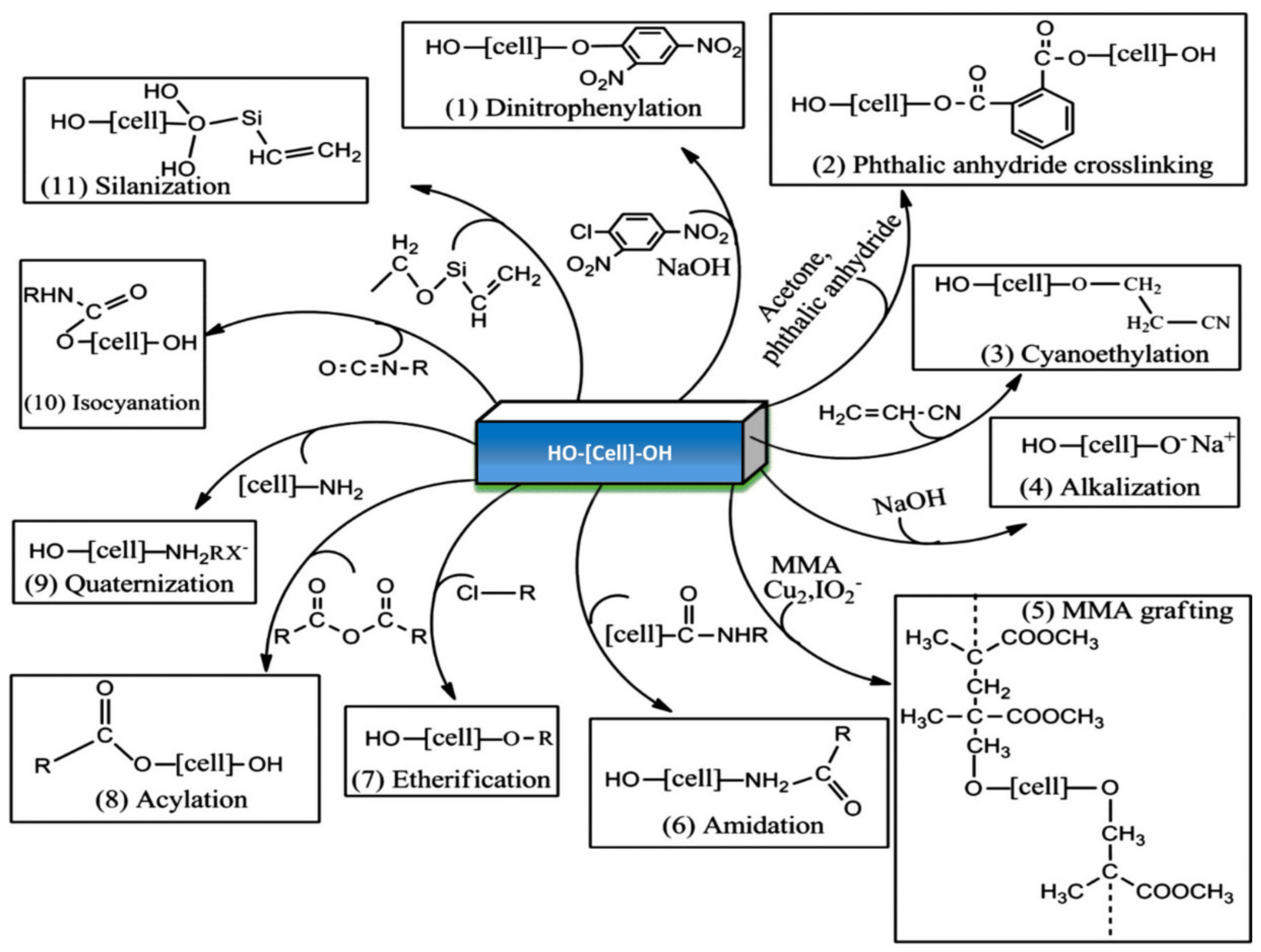 Coatings 10 00973 g006