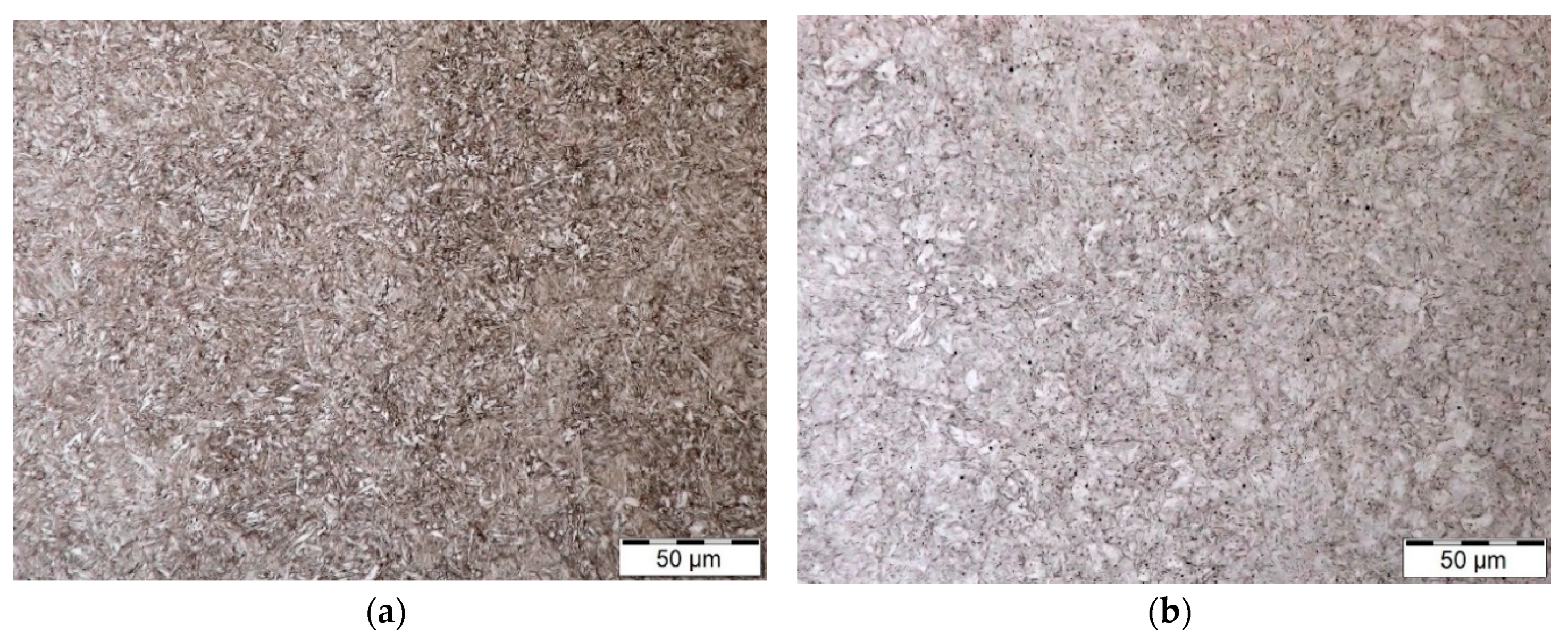 Coatings 10 00975 g001