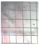 Coatings 10 00979 i010 Coatings 10 00979 i010