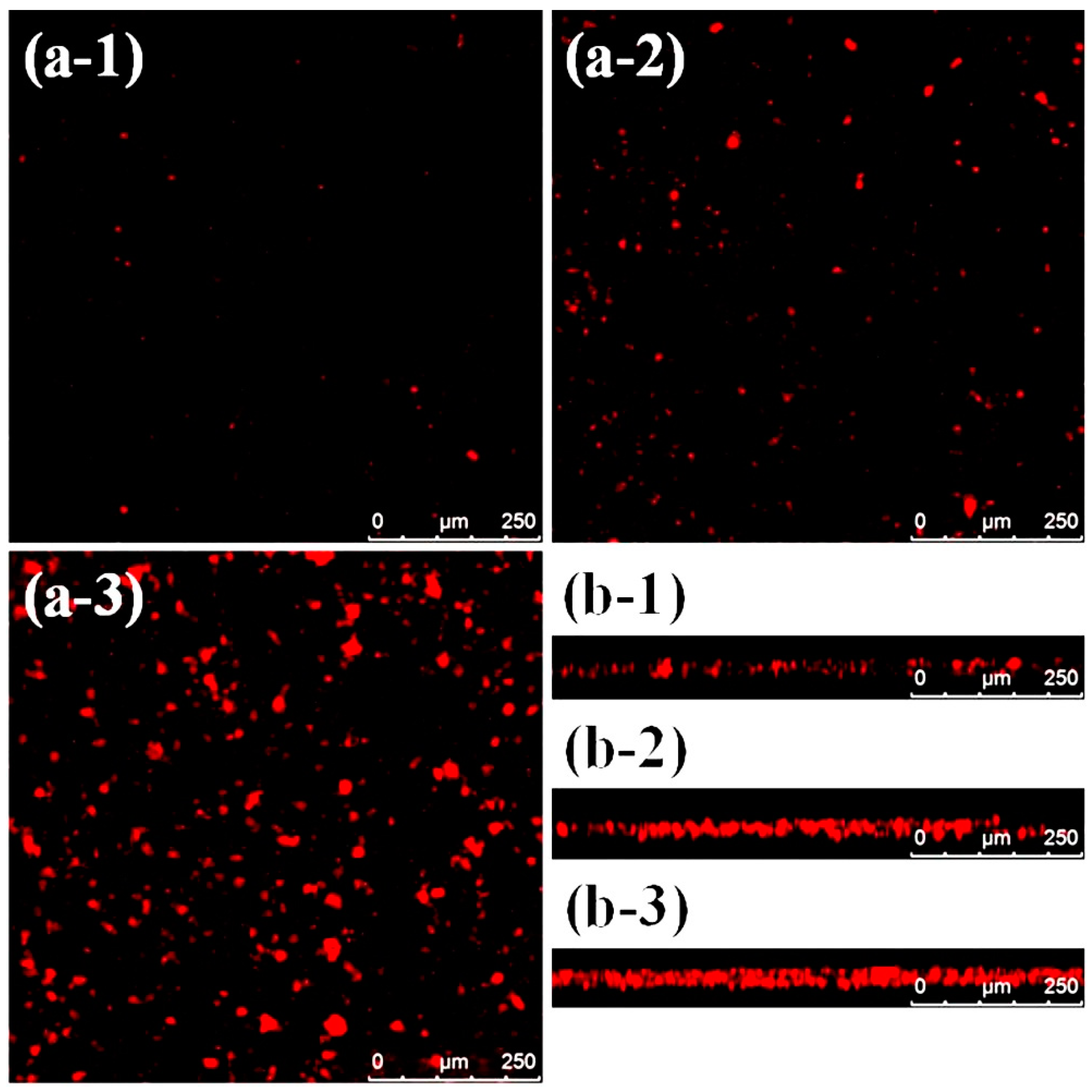 Coatings 10 00983 g001