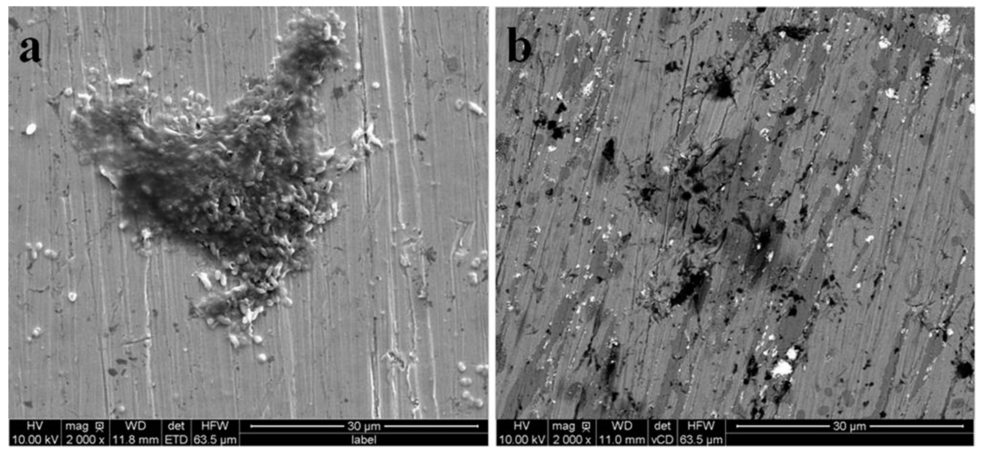 Coatings 10 00983 g006