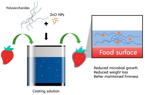 Coatings 10 00988 g001 550