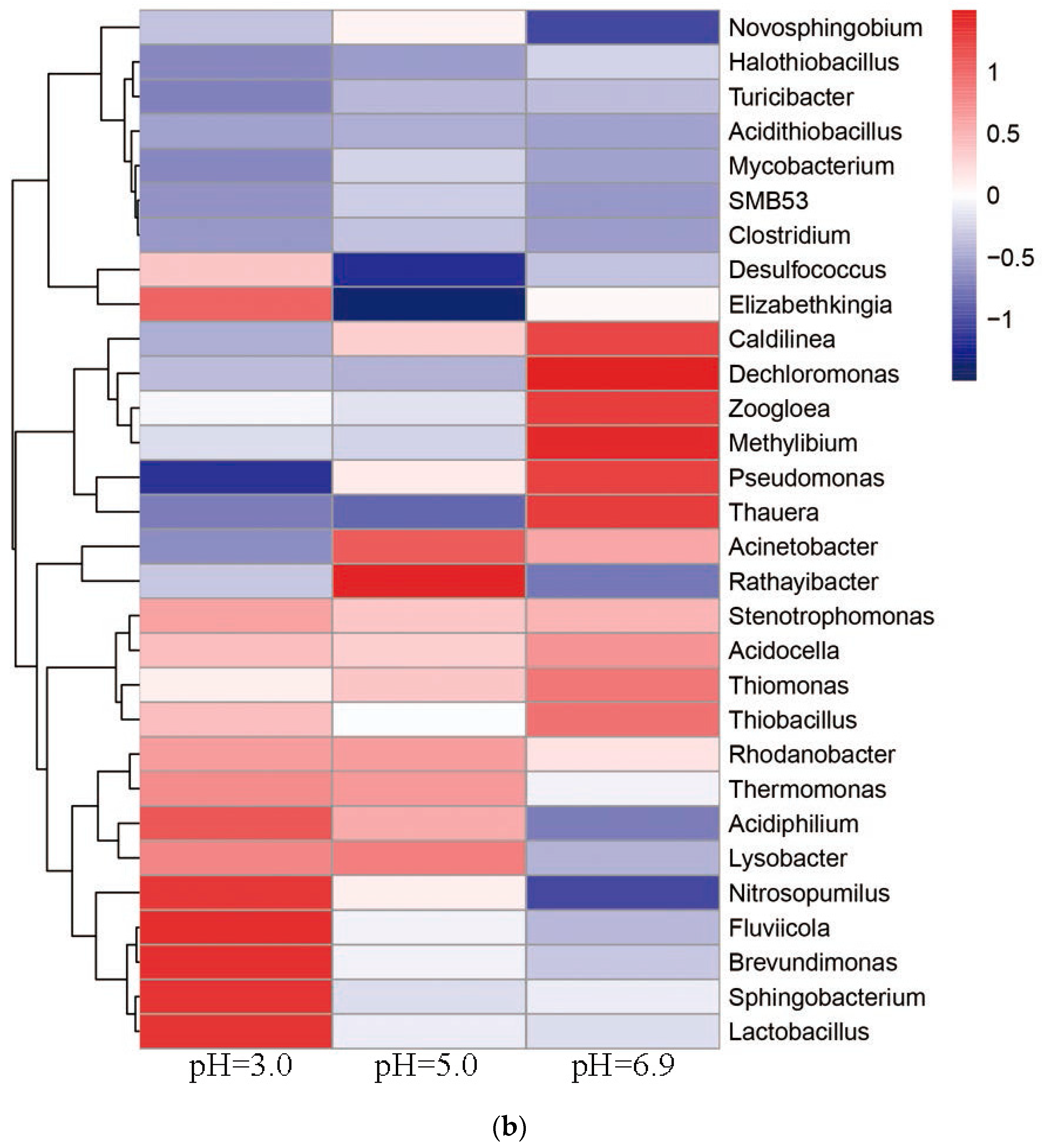 Coatings 10 00989 g012b Coatings 10 00989 g012b