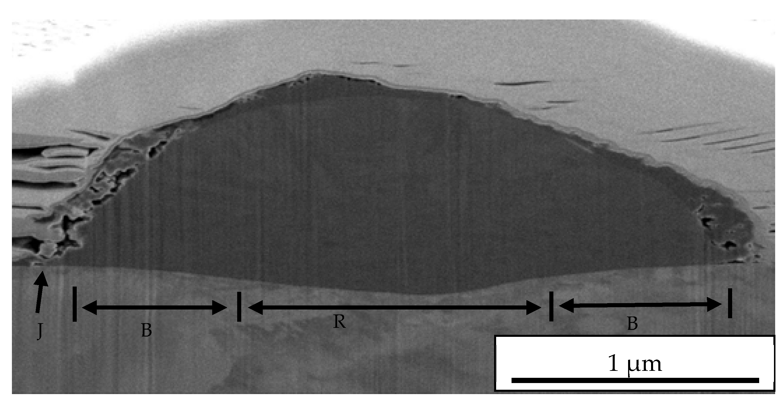 Coatings 10 00991 g007