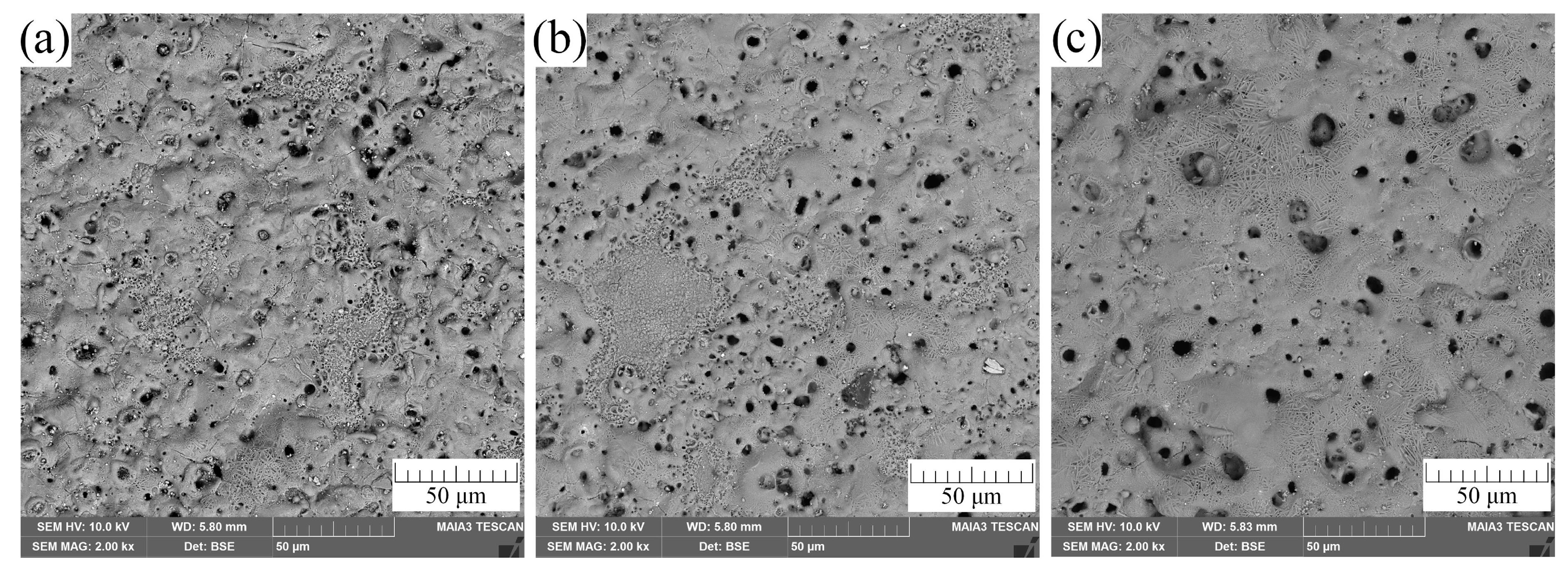 Coatings 10 00993 g002