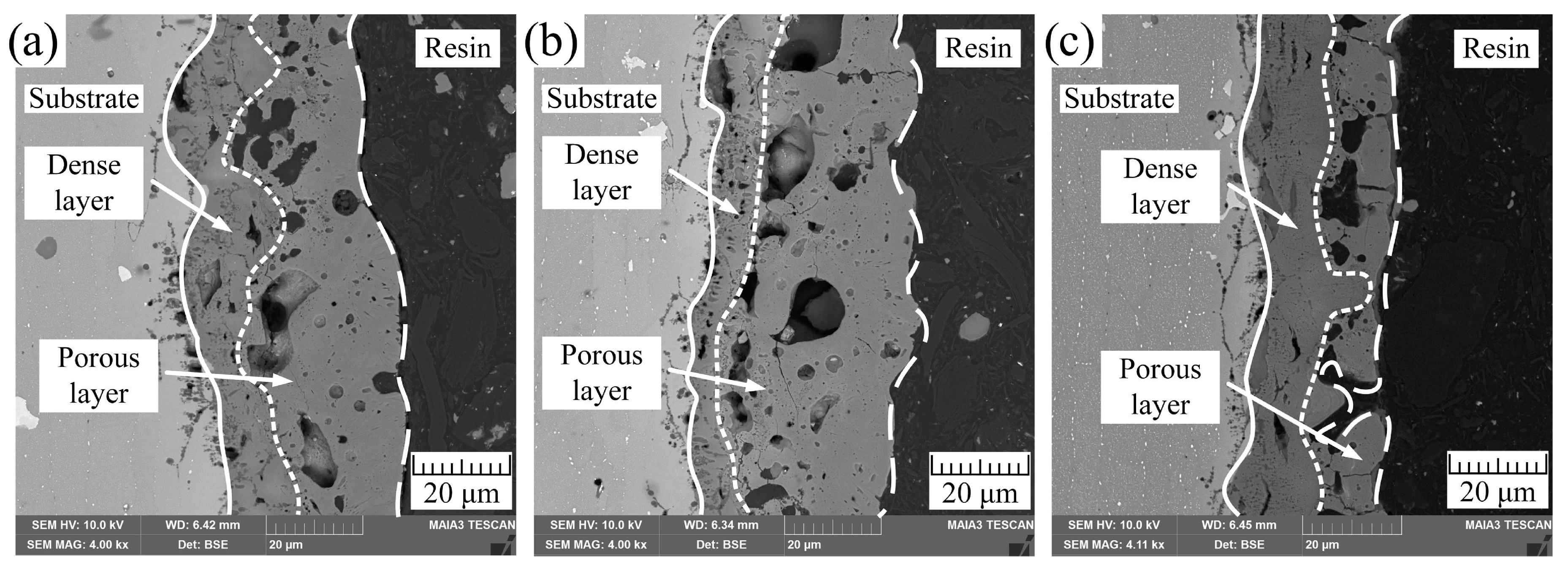 Coatings 10 00993 g003