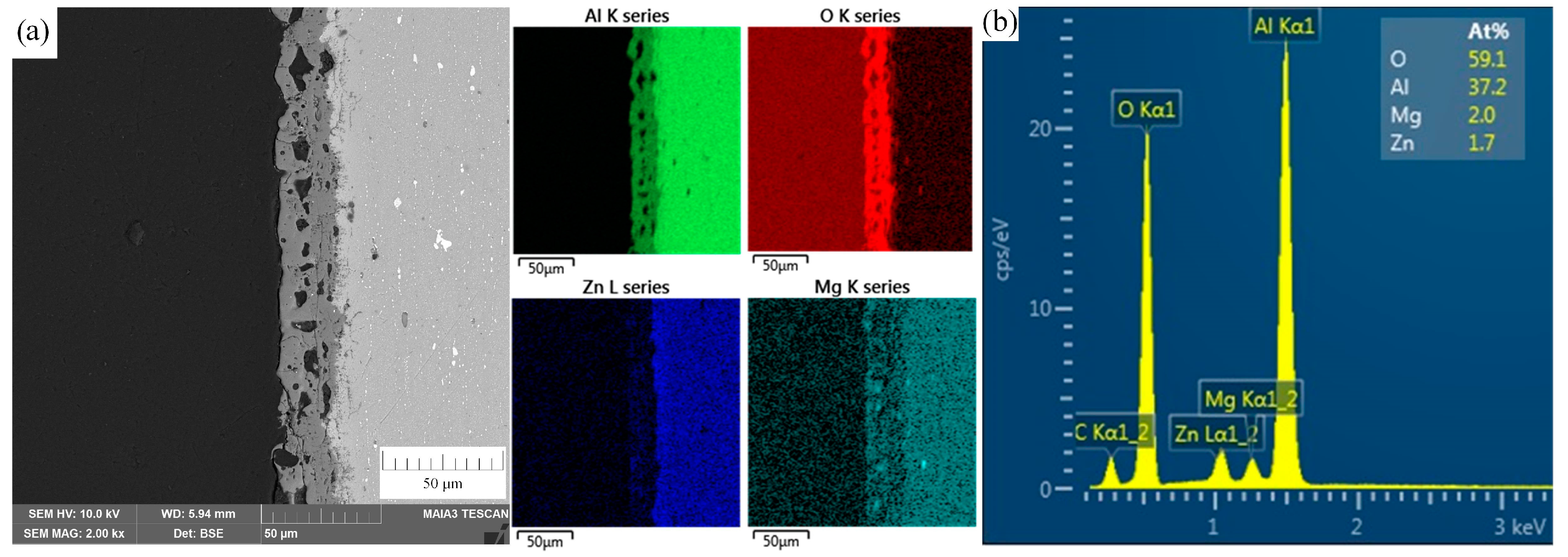 Coatings 10 00993 g005