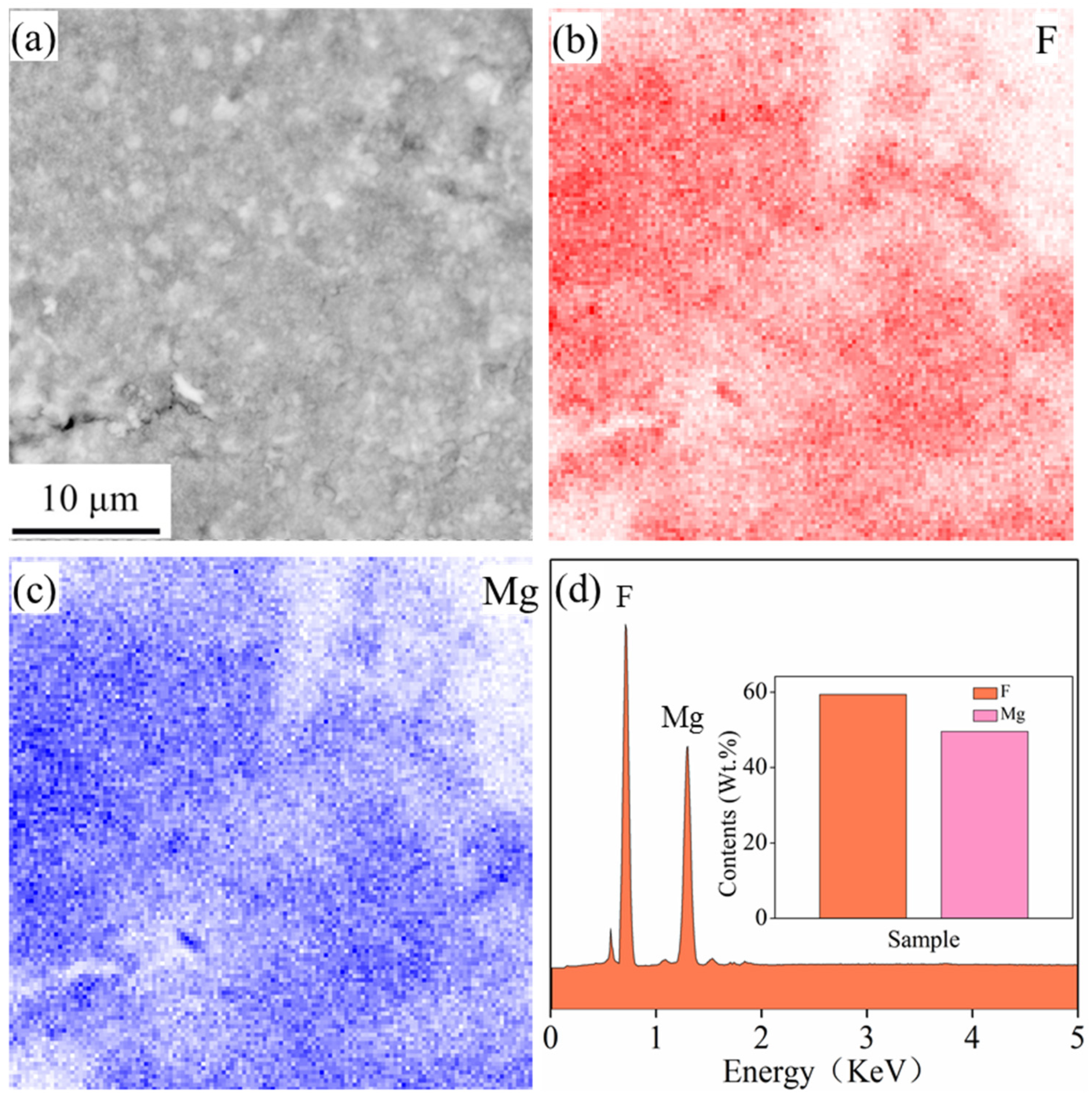 Coatings 10 00996 g003