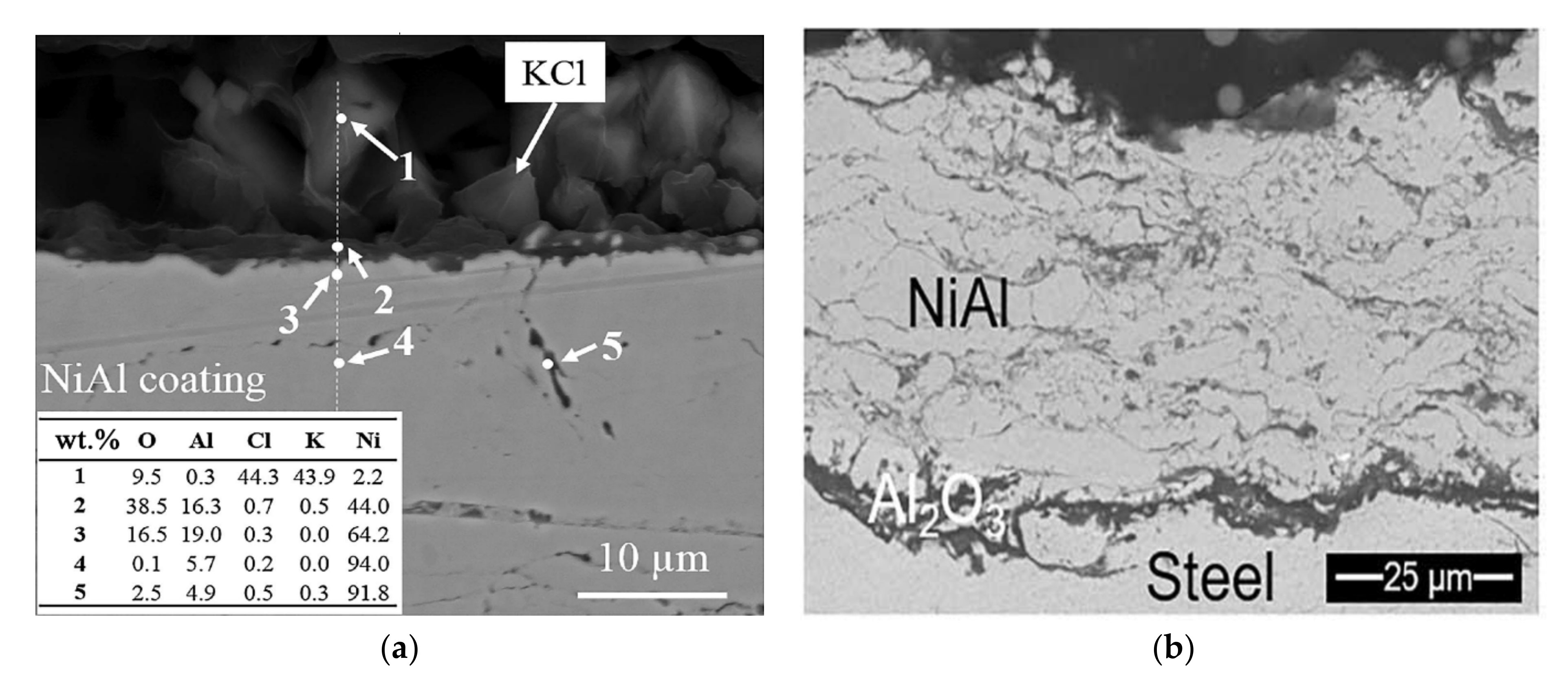 Coatings 10 01001 g005