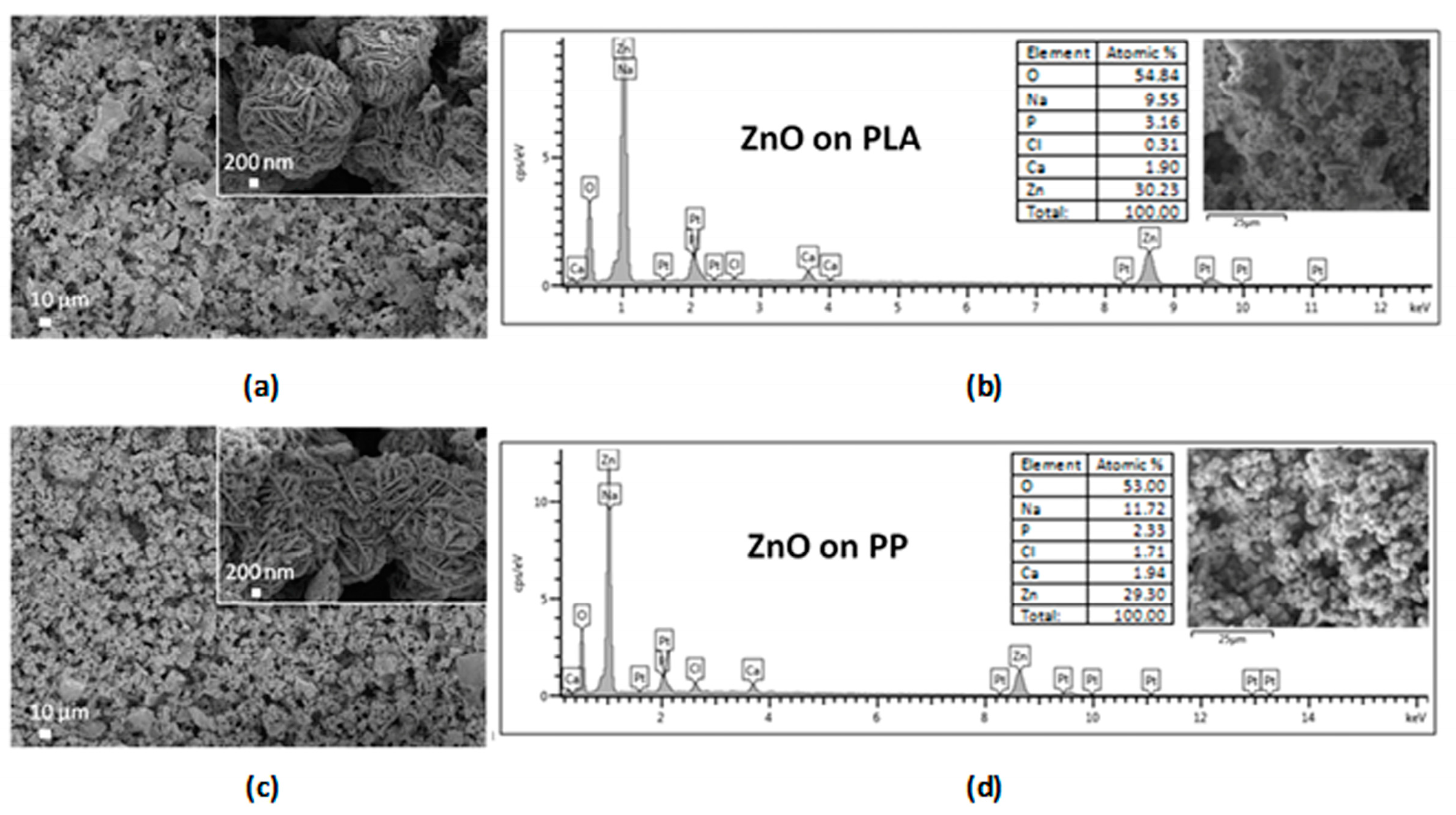 Coatings 10 01002 g010