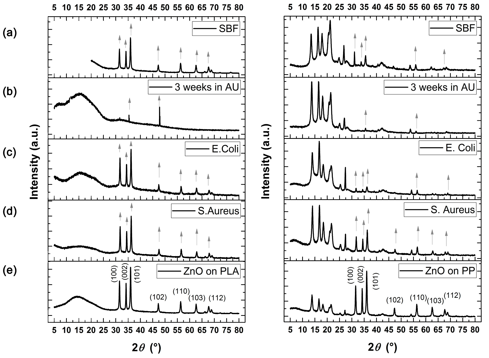 Coatings 10 01002 g012