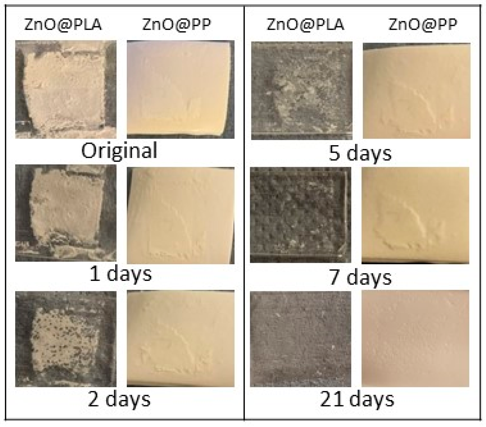 Coatings 10 01002 g013