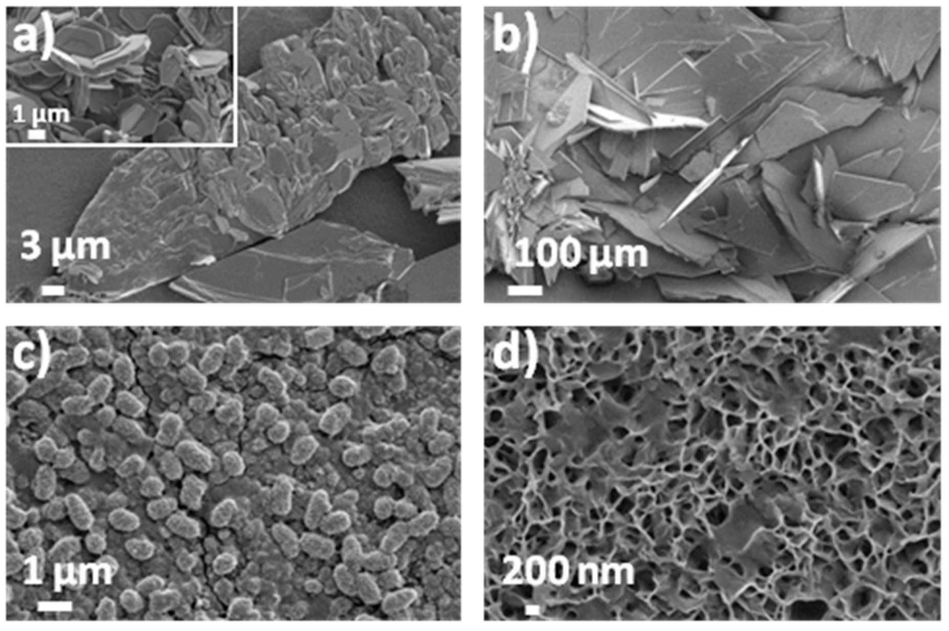 Coatings 10 01002 g014