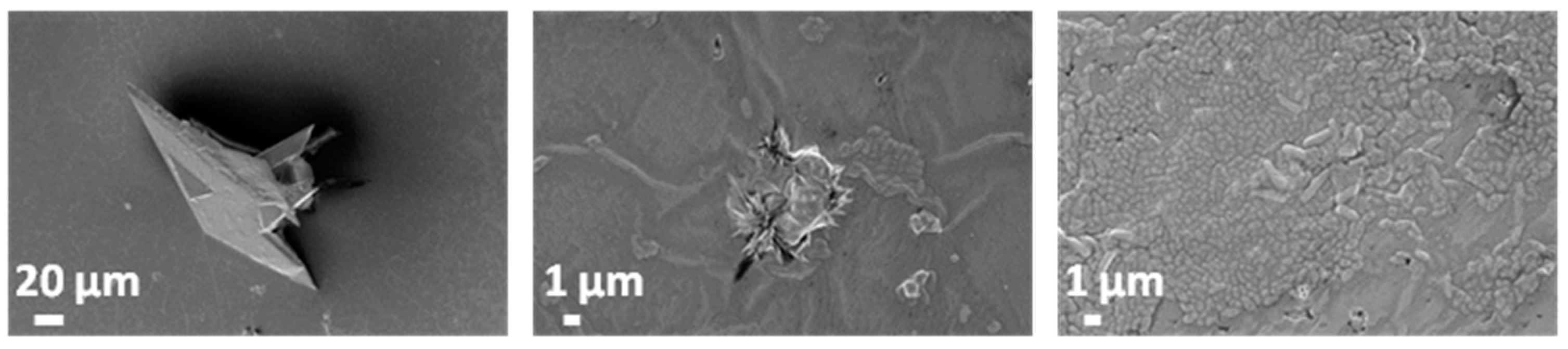 Coatings 10 01002 g015
