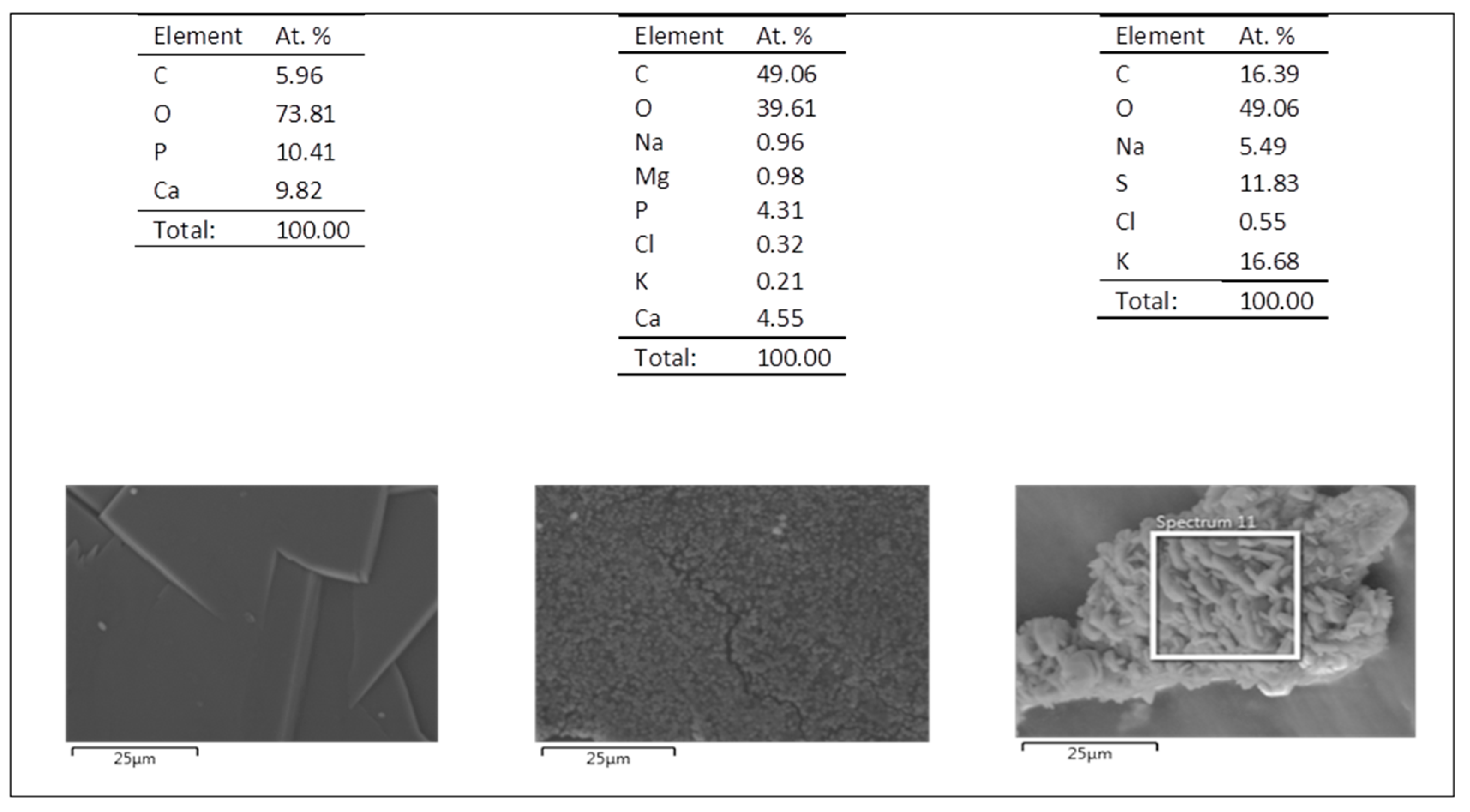 Coatings 10 01002 g016