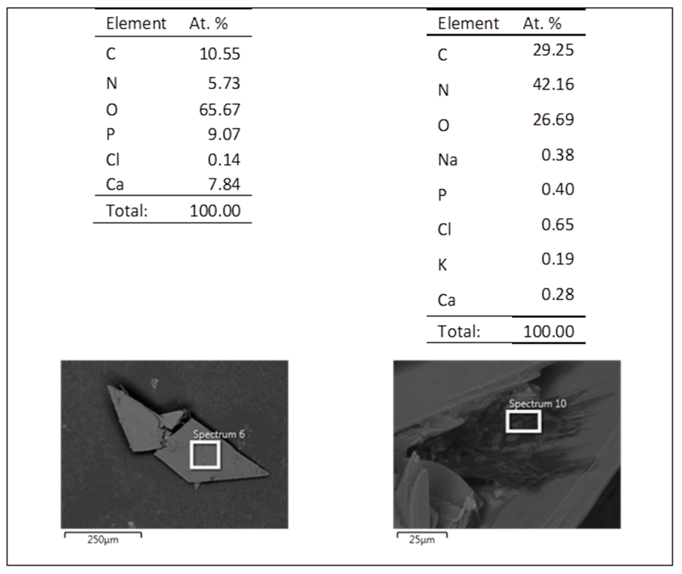 Coatings 10 01002 g017