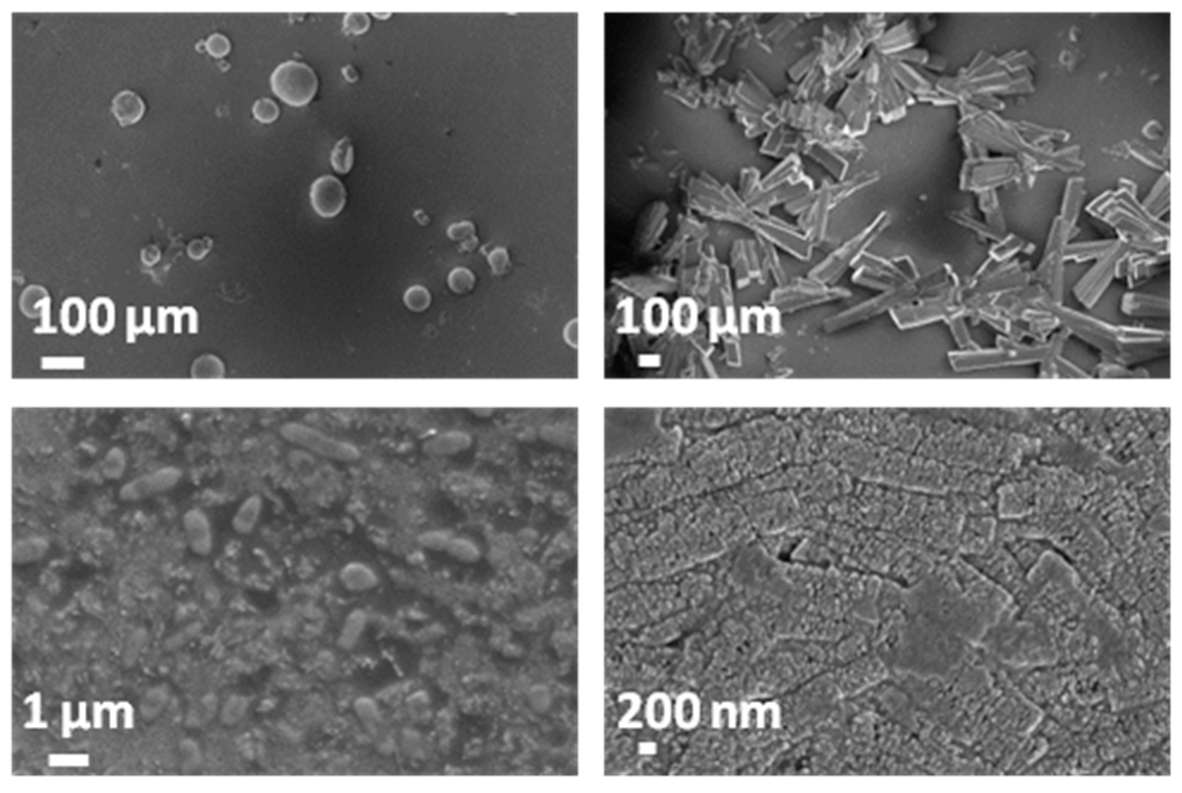 Coatings 10 01002 g018