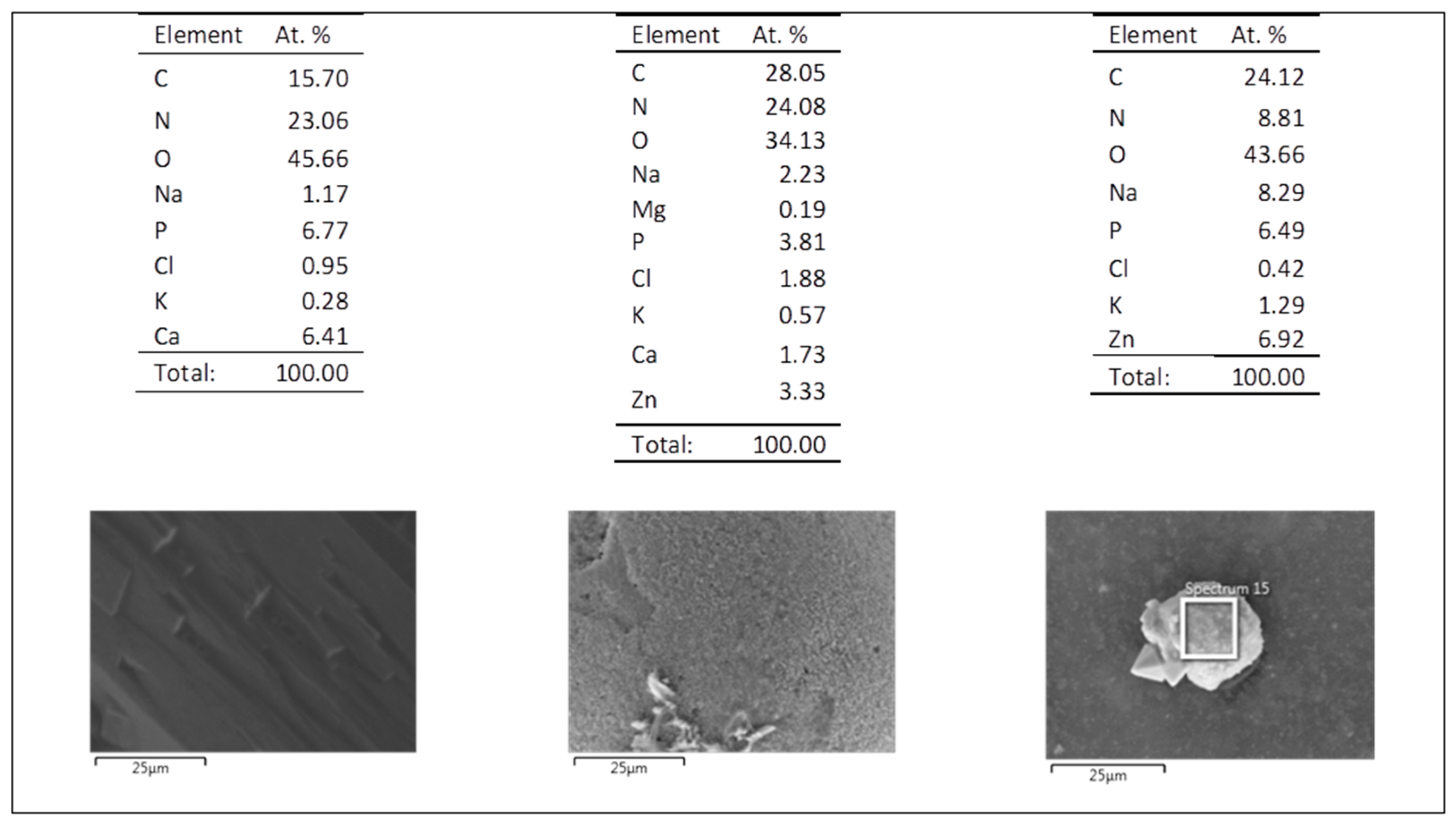Coatings 10 01002 g020