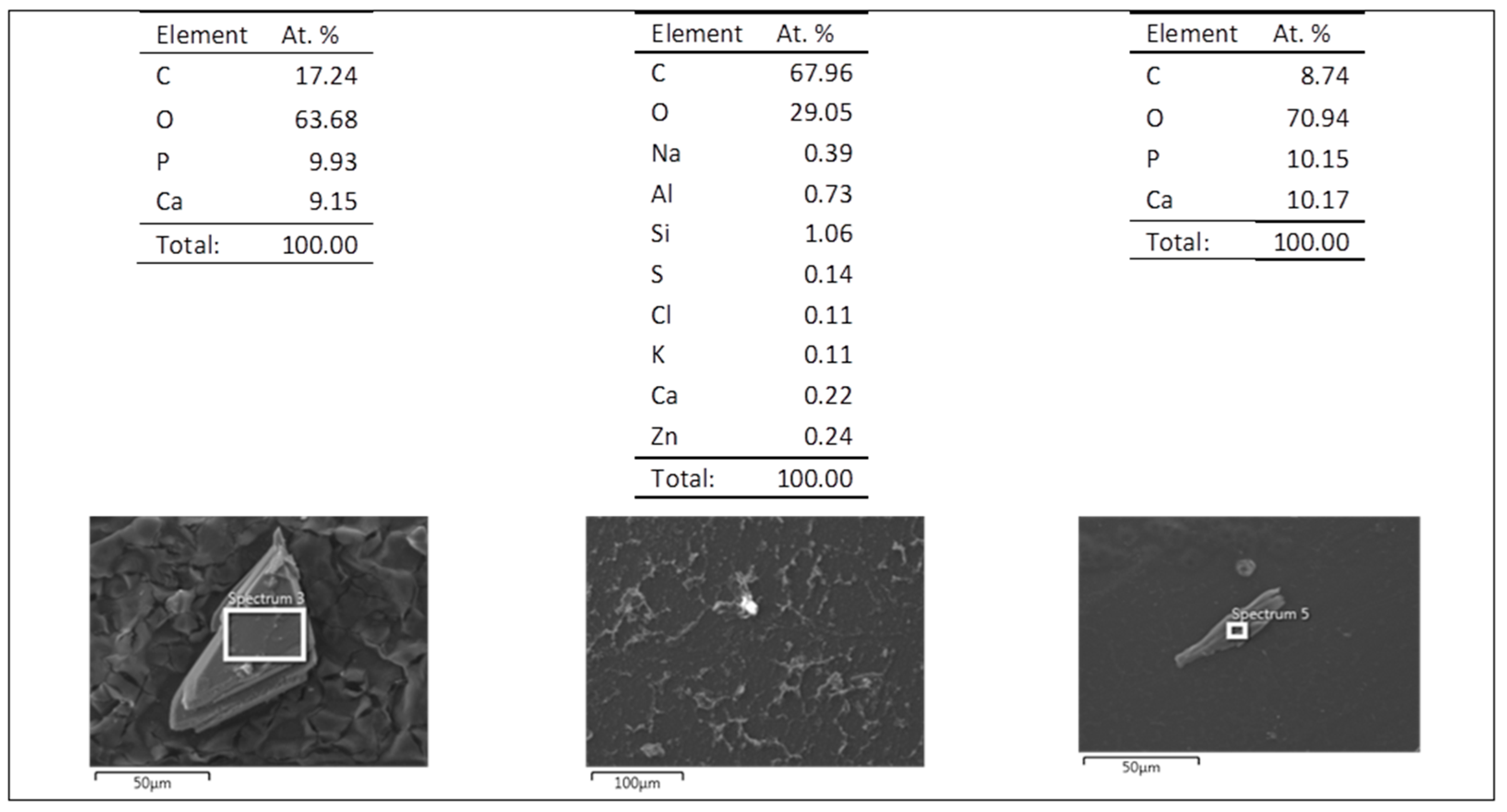 Coatings 10 01002 g021