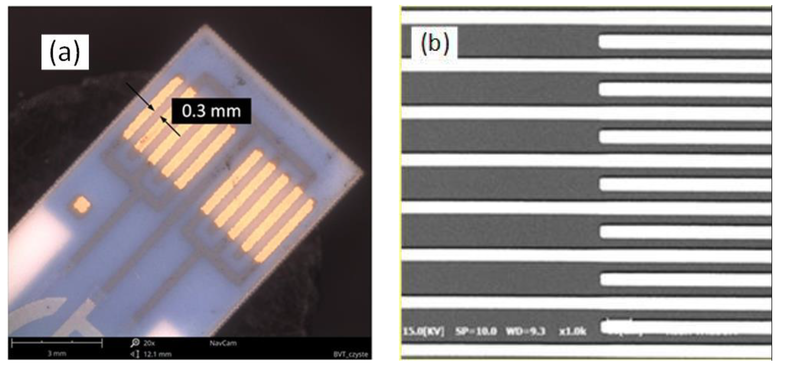 Coatings 10 01015 g003 Coatings 10 01015 g003