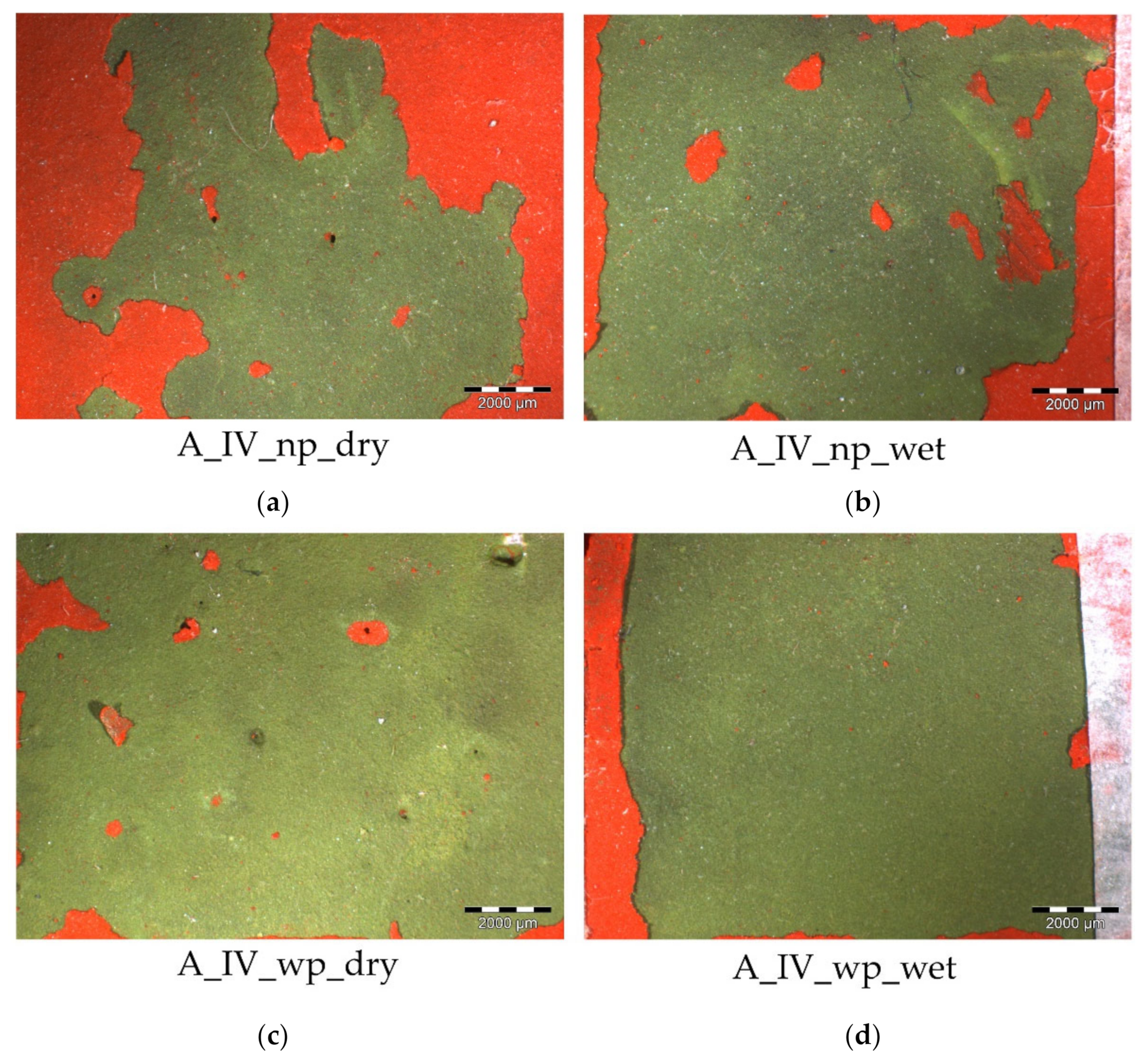 Coatings 10 01019 g003 Coatings 10 01019 g003