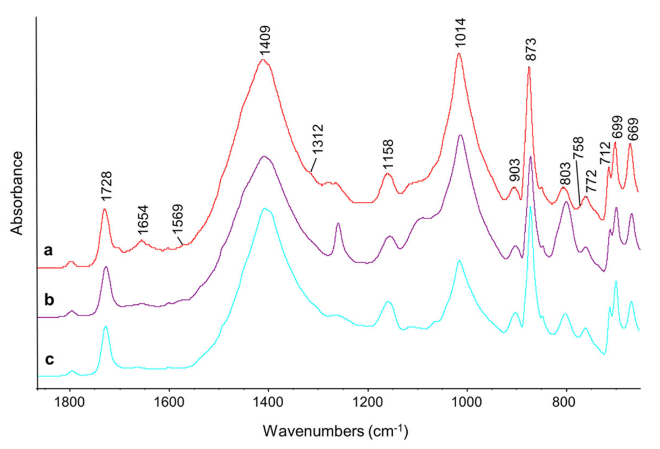 Coatings 10 01019 g004 Coatings 10 01019 g004