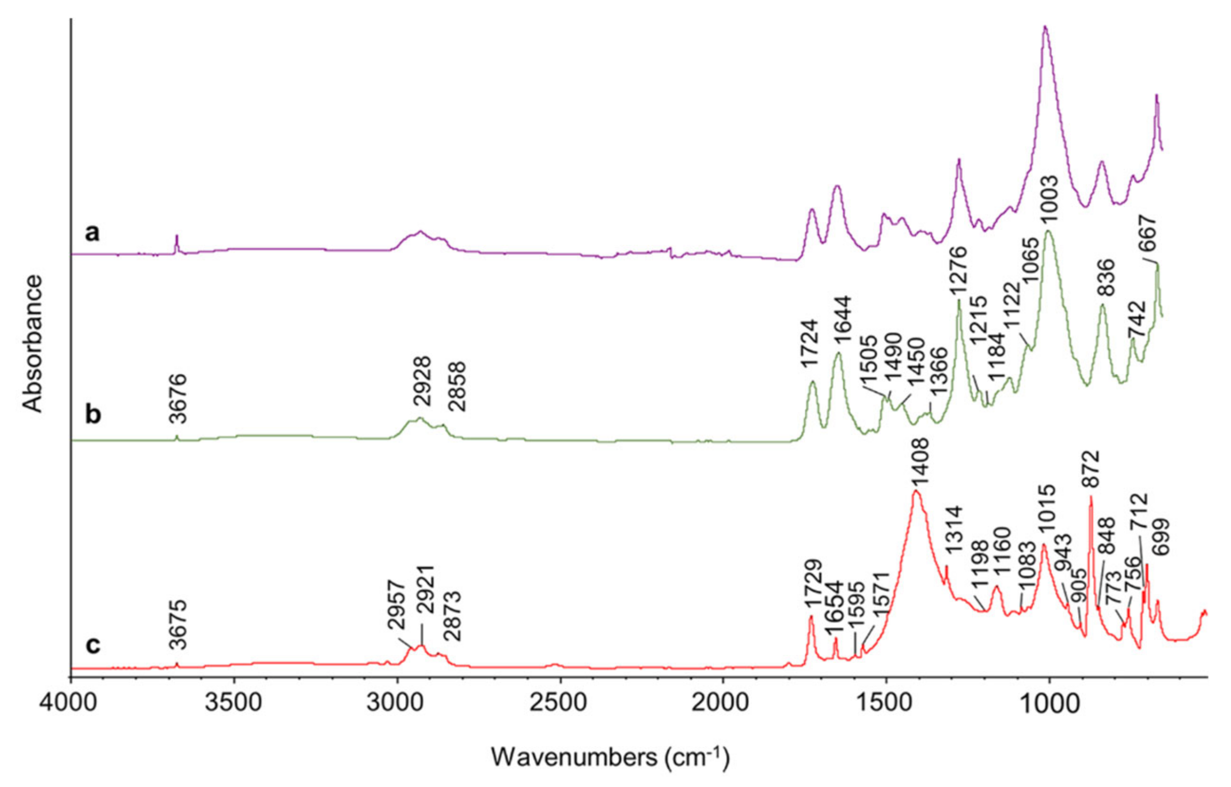 Coatings 10 01019 g008 Coatings 10 01019 g008
