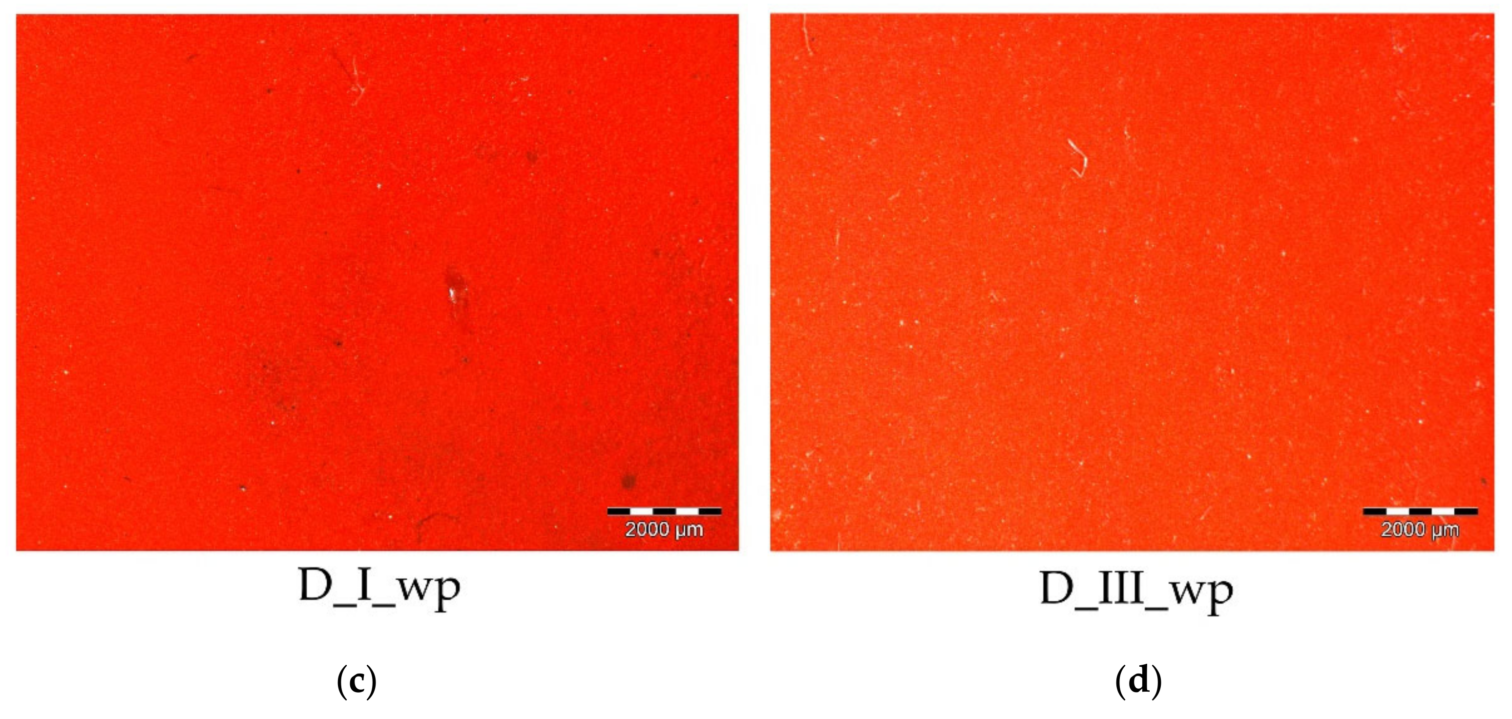 Coatings 10 01019 g012b Coatings 10 01019 g012b