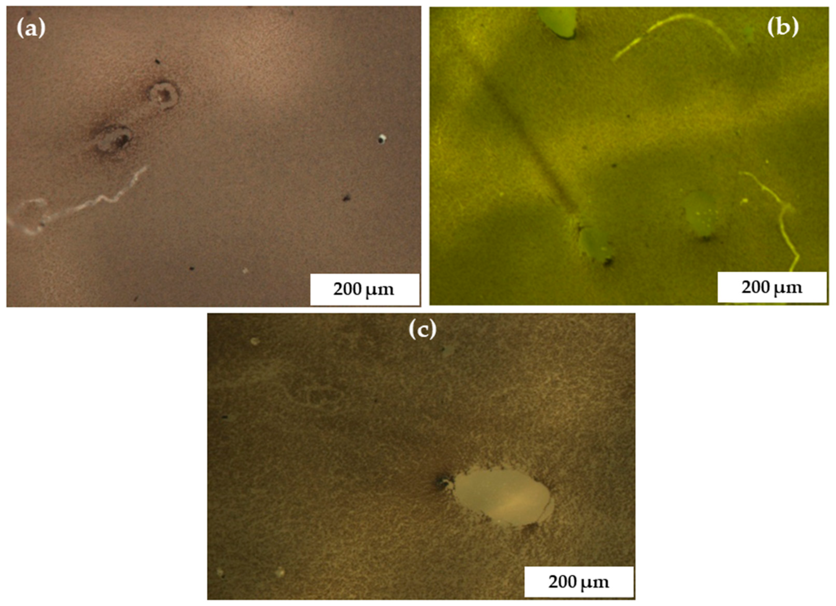 Coatings 10 01029 g007 Coatings 10 01029 g007