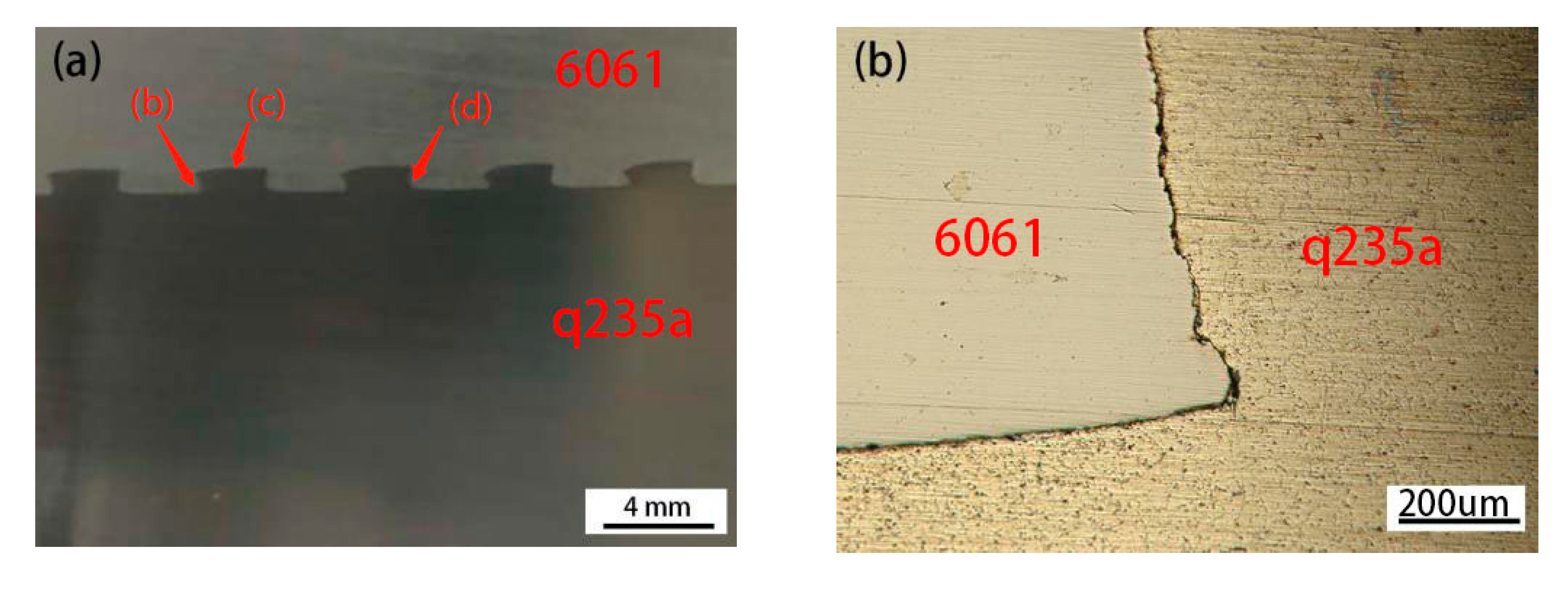 Coatings 10 01031 g004a Coatings 10 01031 g004a