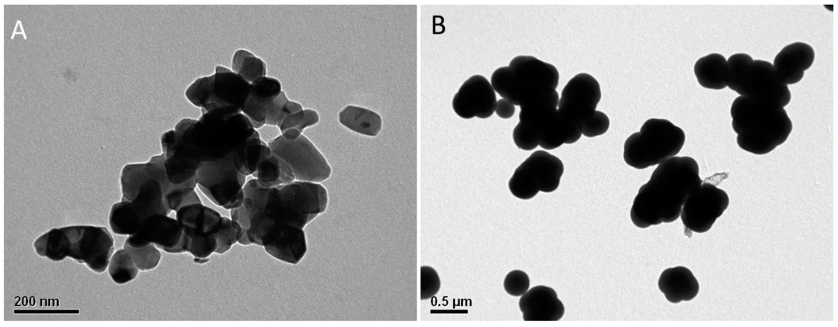Coatings 10 01033 g001 Coatings 10 01033 g001