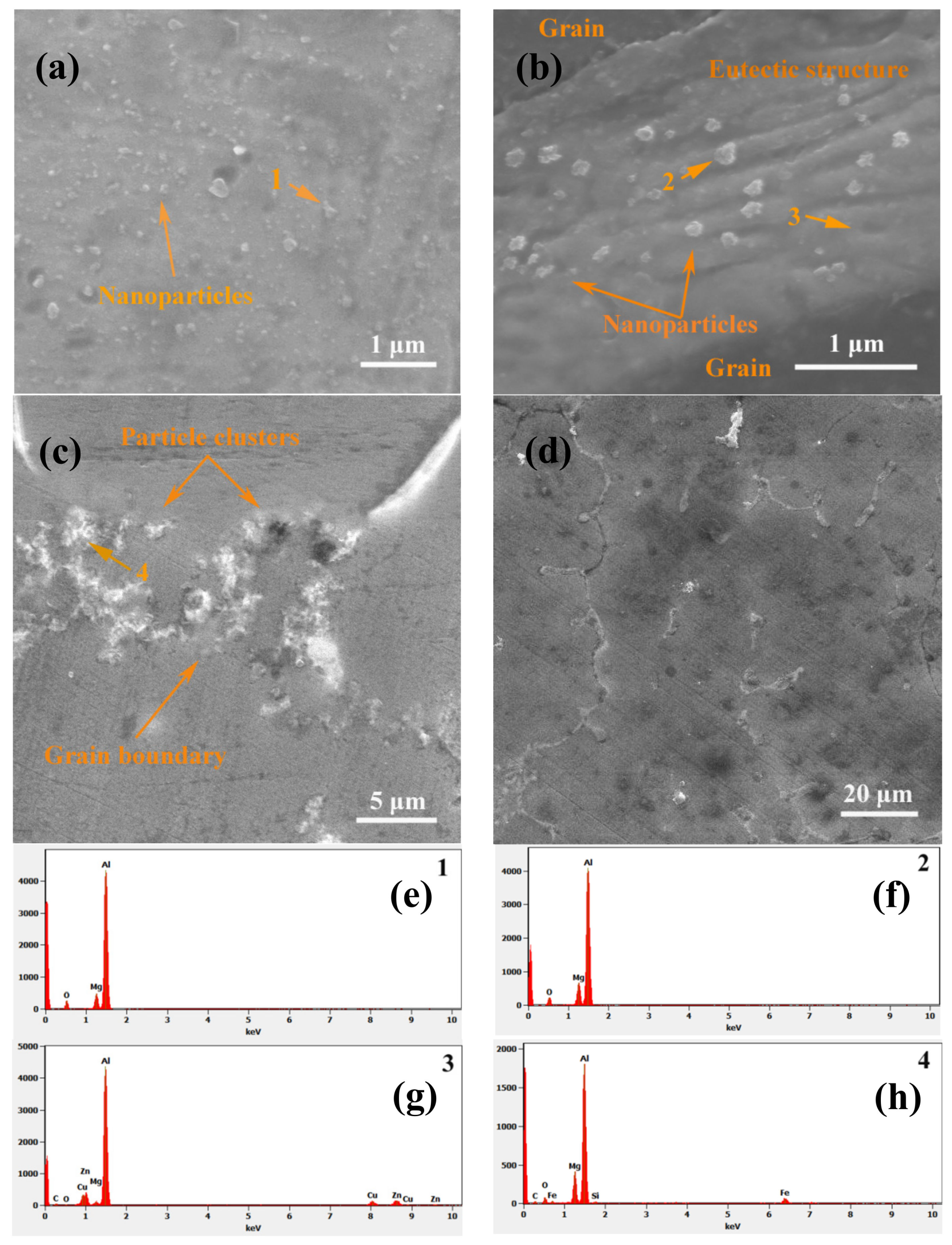 Coatings 10 01039 g011