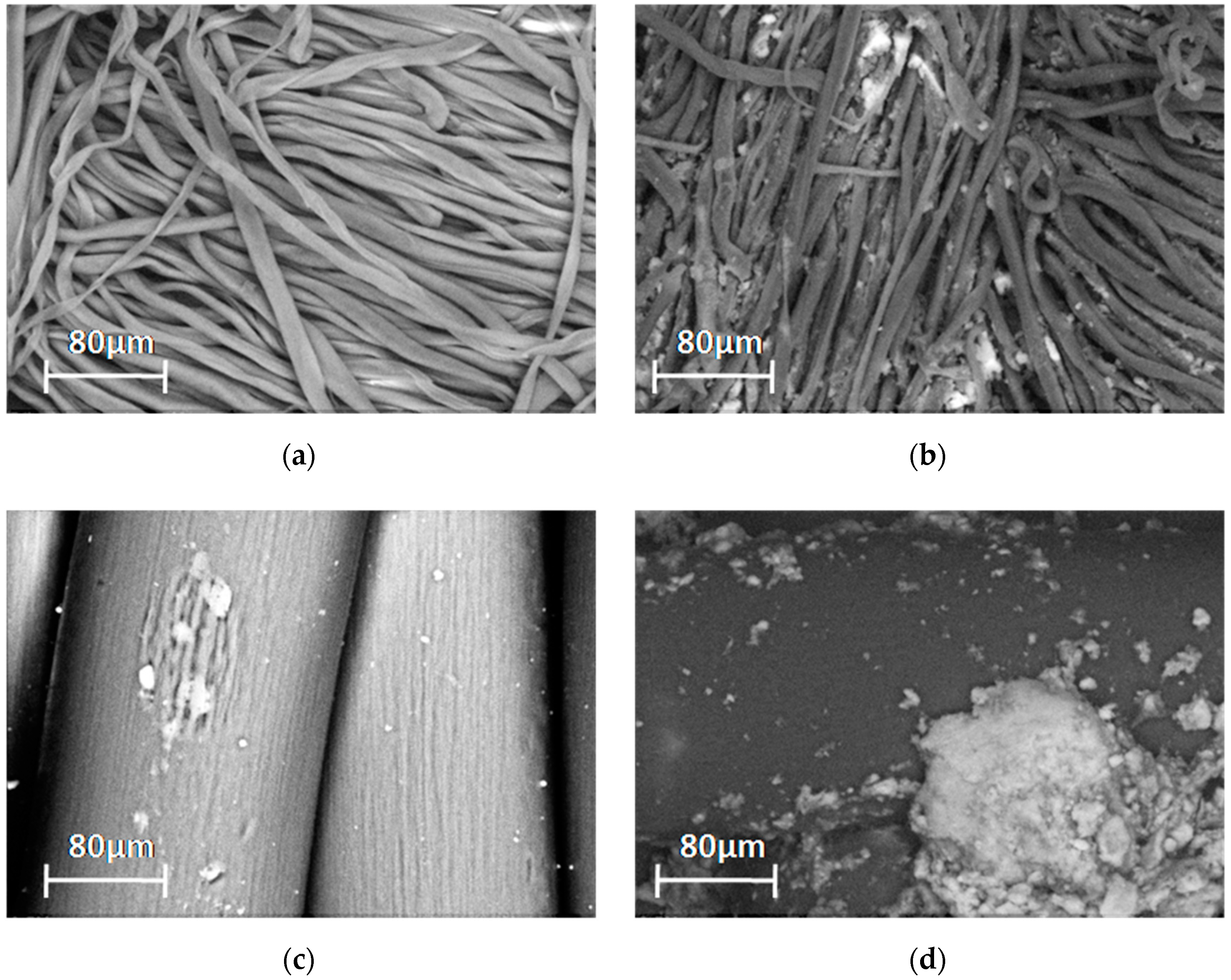 Coatings 10 01041 g002 Coatings 10 01041 g002