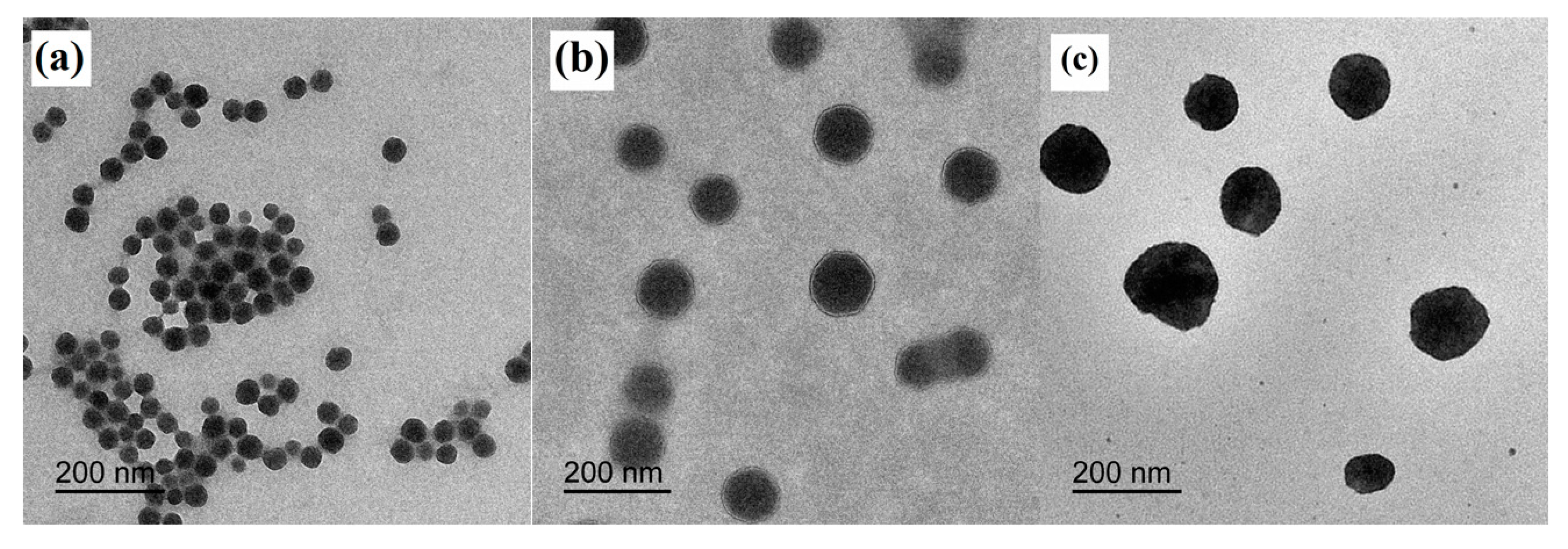 Coatings 10 01045 g004