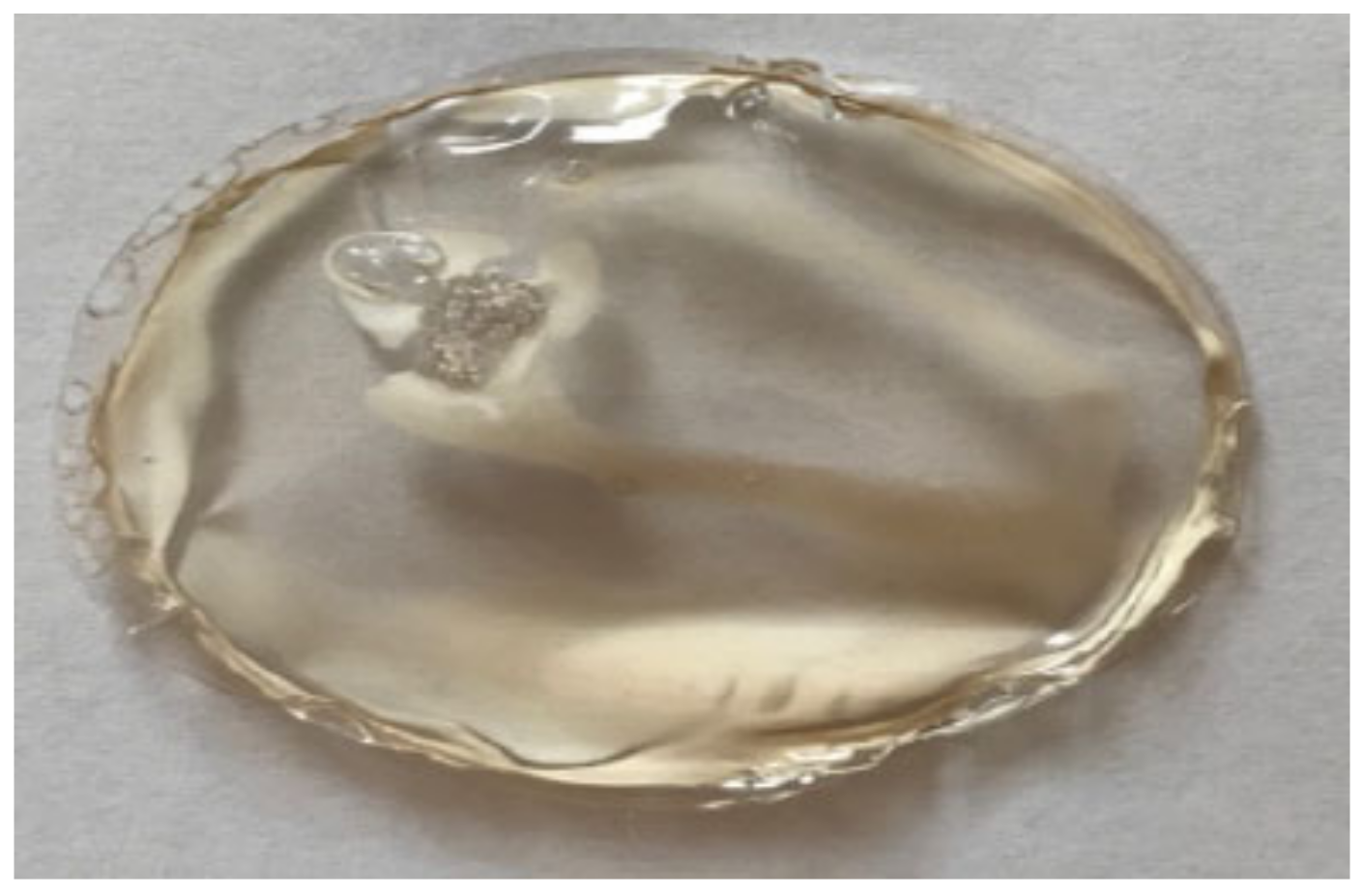 Coatings 10 01046 g002