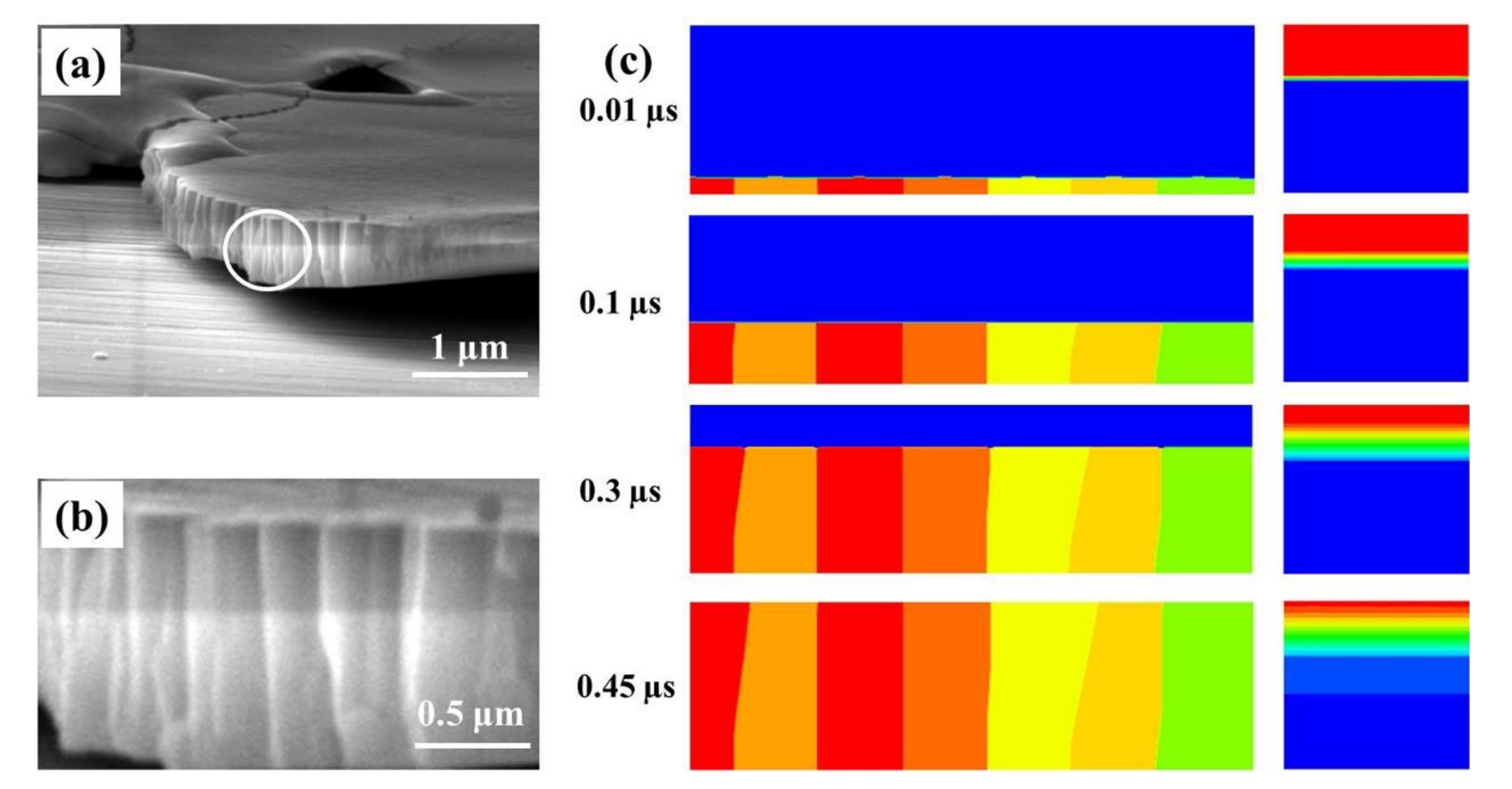 Coatings 10 01047 g009