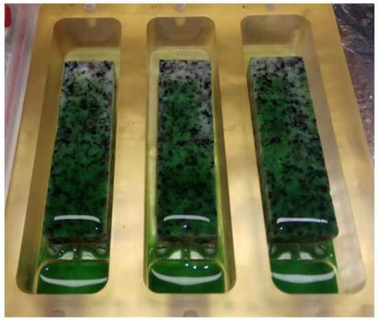 Effect of Inorganic Carbon Concentration on the Development