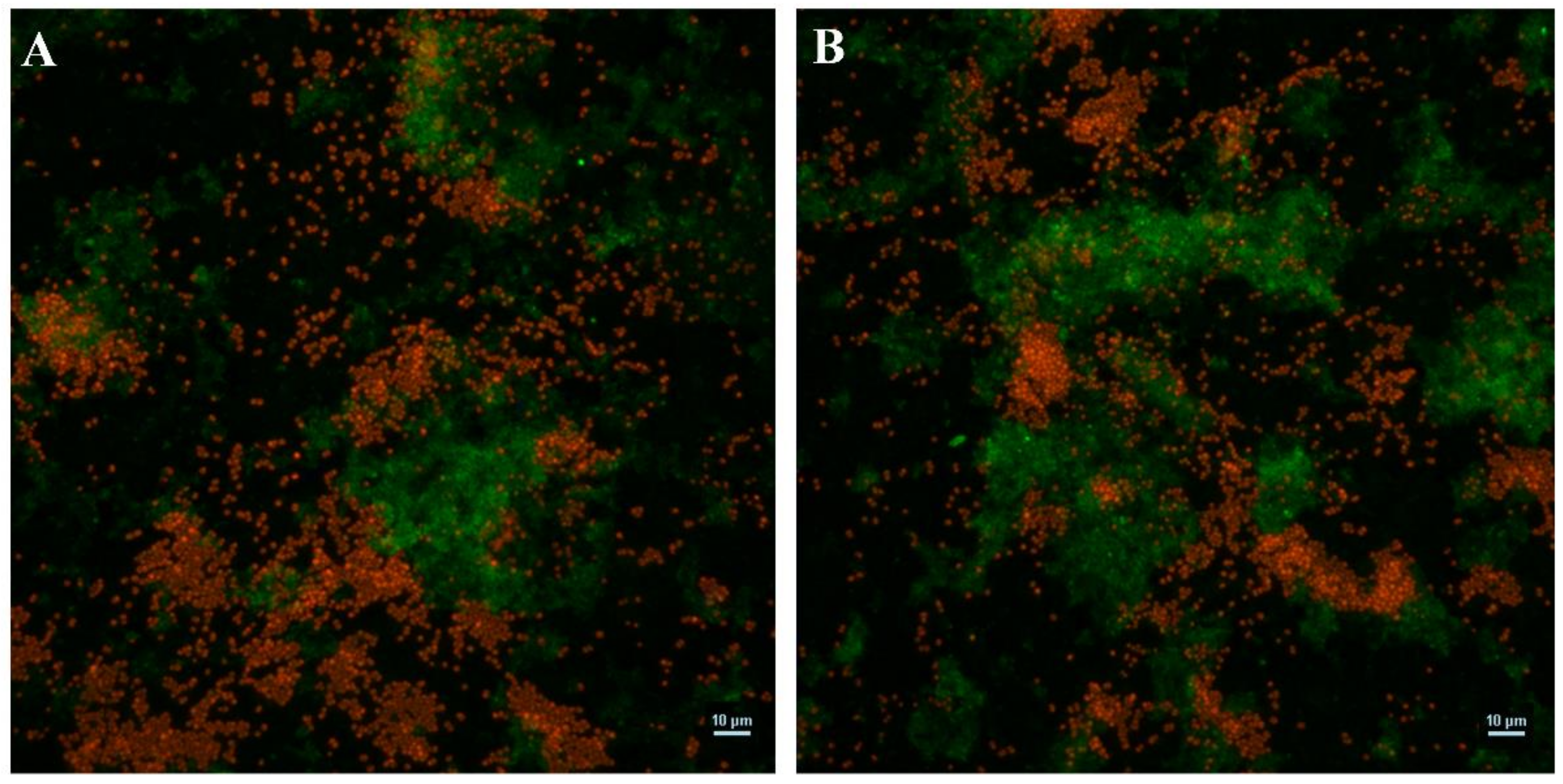 Coatings 10 01049 g002